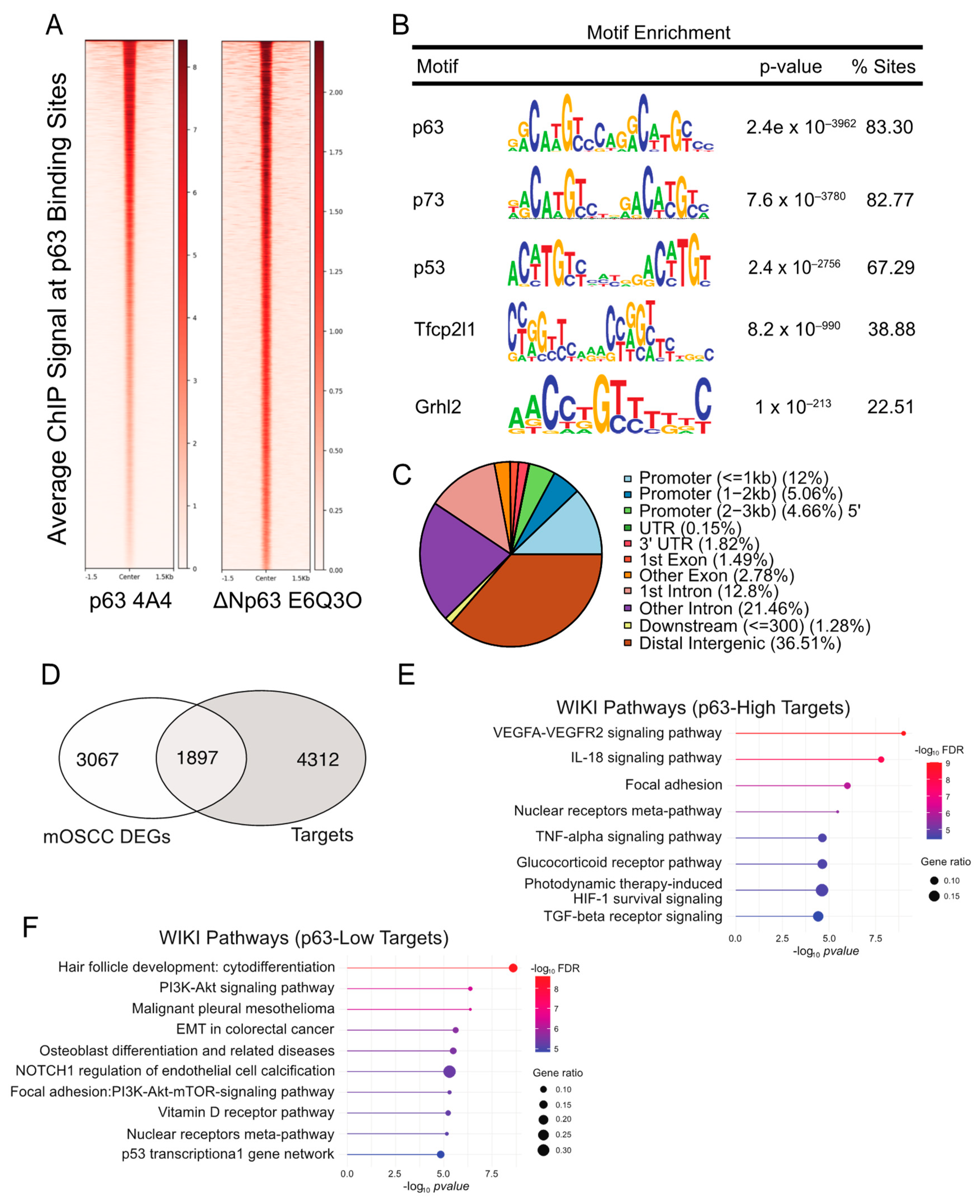 Cancers 15 00446 g002 Cancers 15 00446 g002
