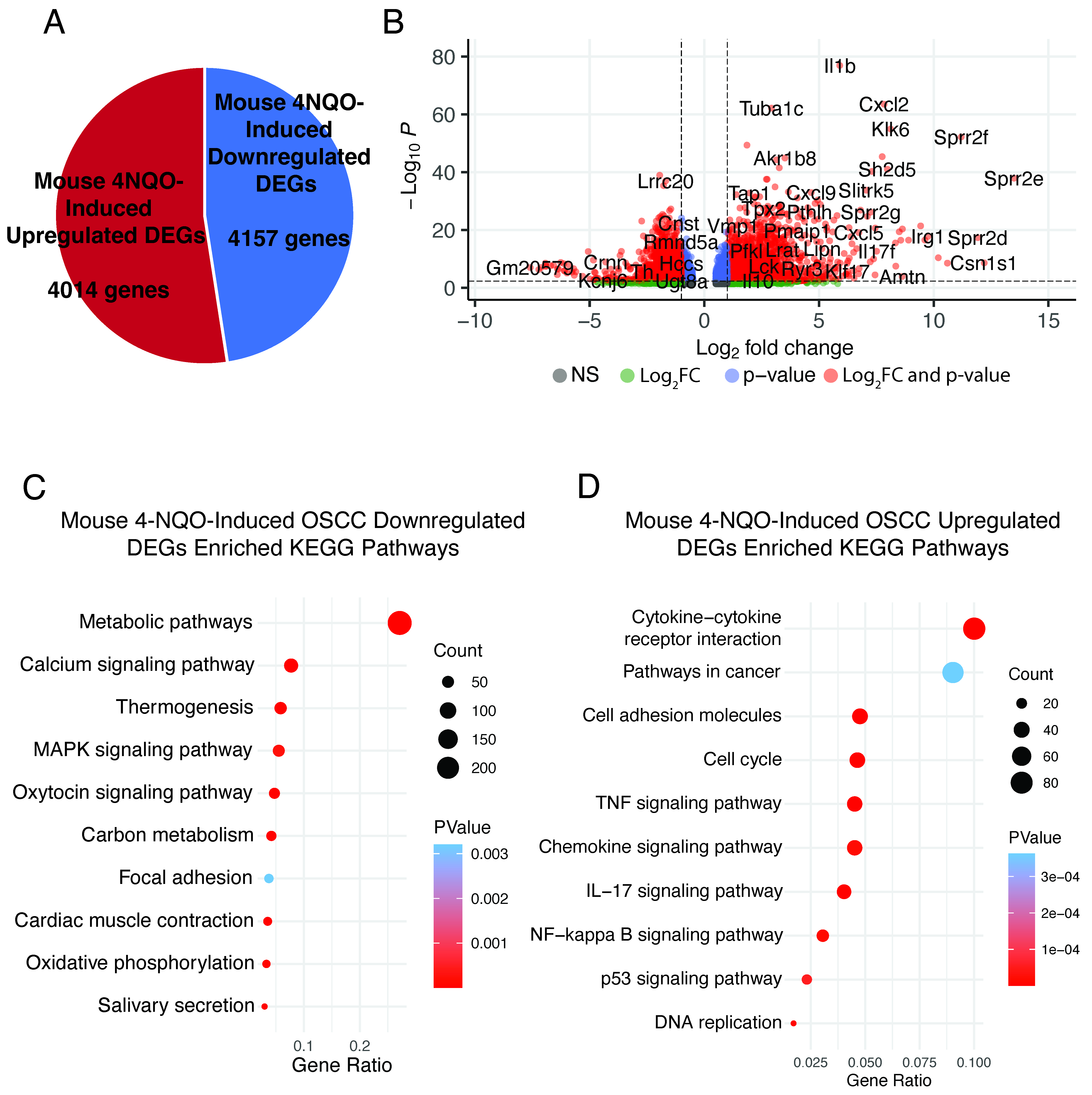 Cancers 15 00446 g005 Cancers 15 00446 g005