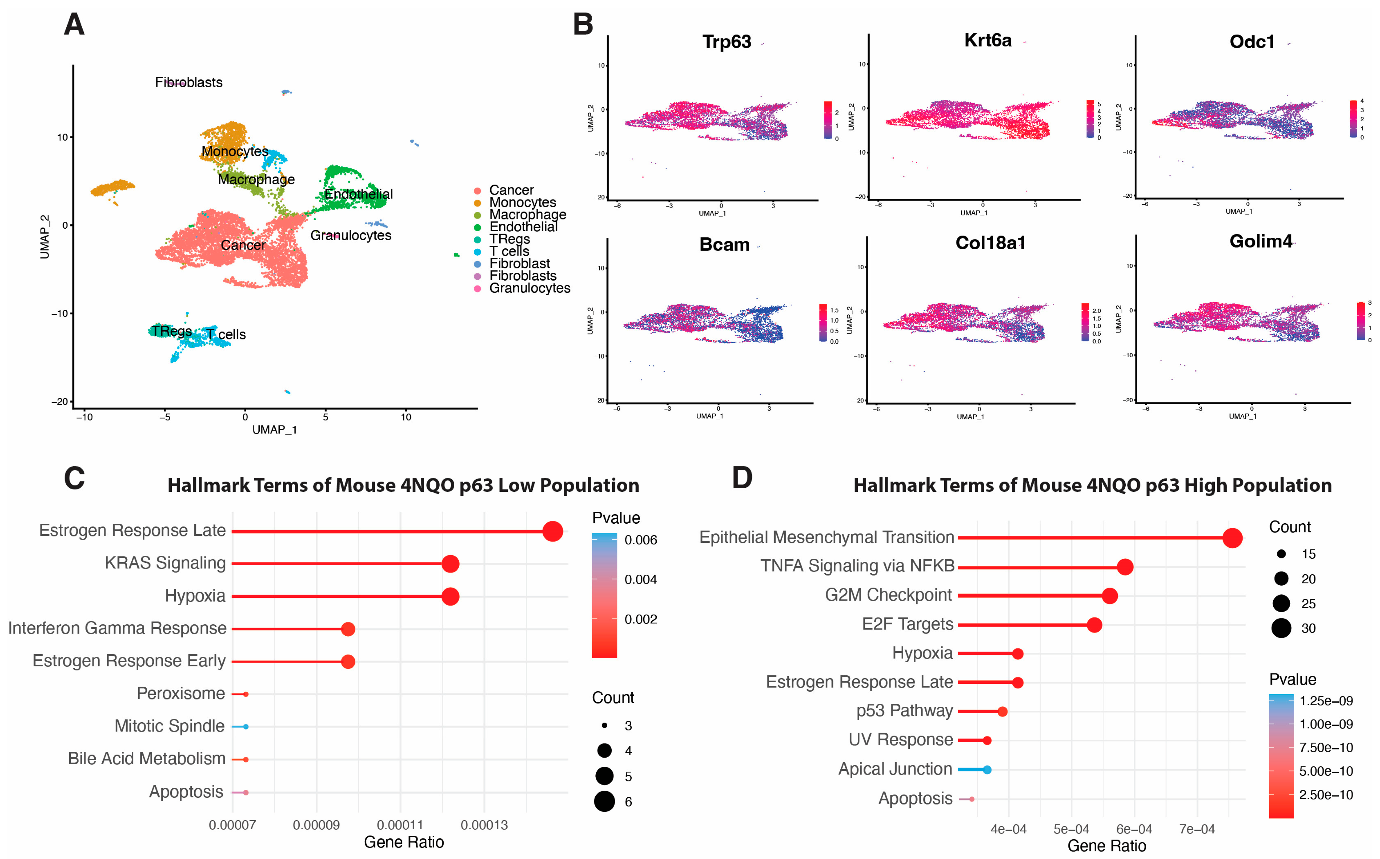 Cancers 15 00446 g007 Cancers 15 00446 g007