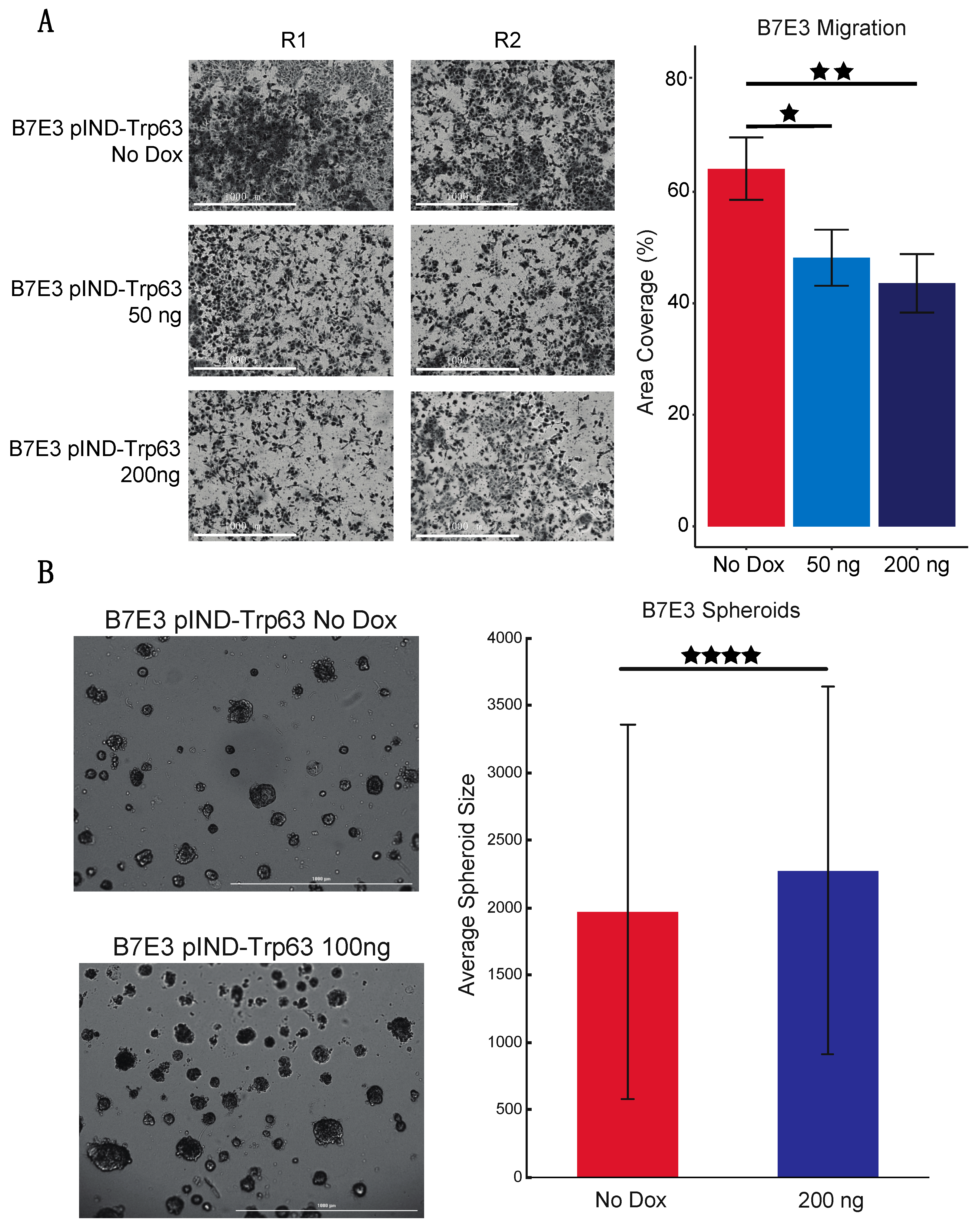 Cancers 15 00446 g008 Cancers 15 00446 g008