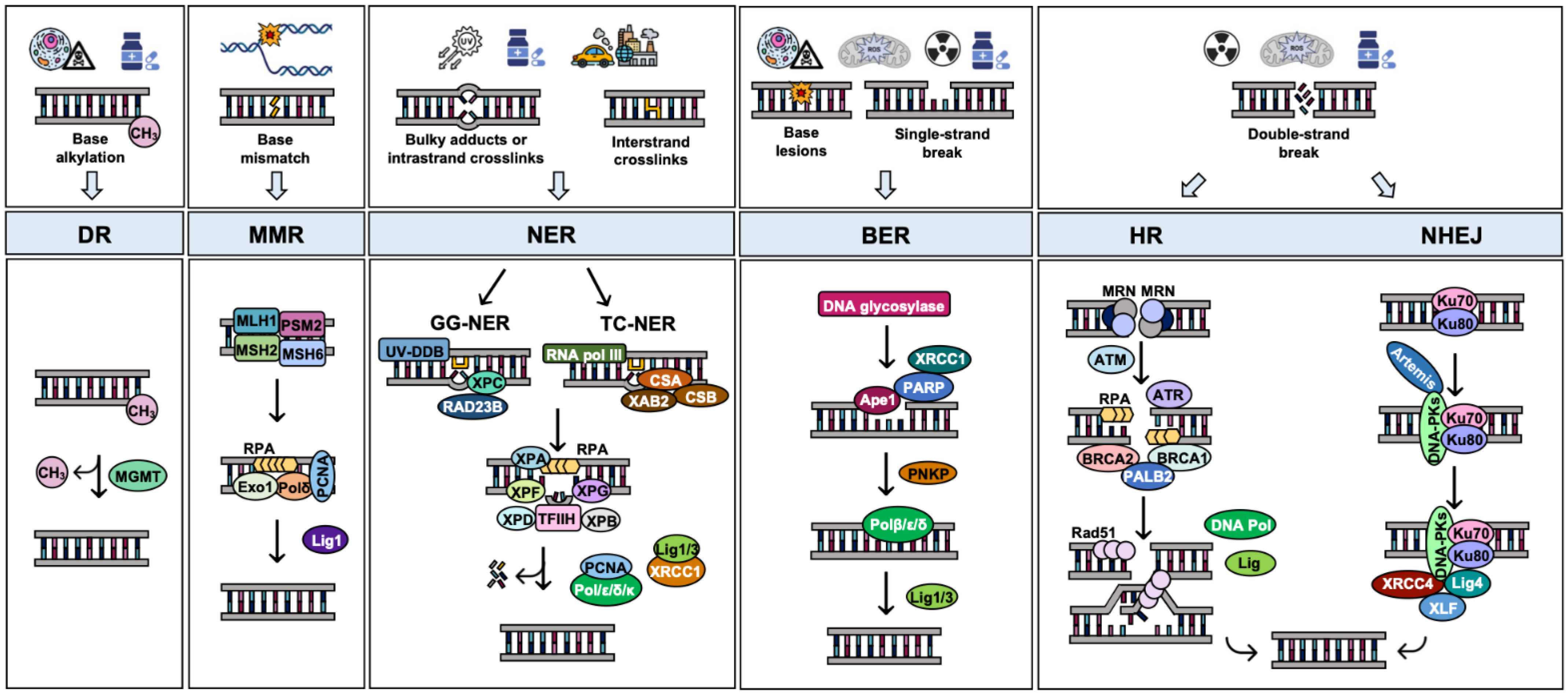 Cancers 15 00448 g002 Cancers 15 00448 g002