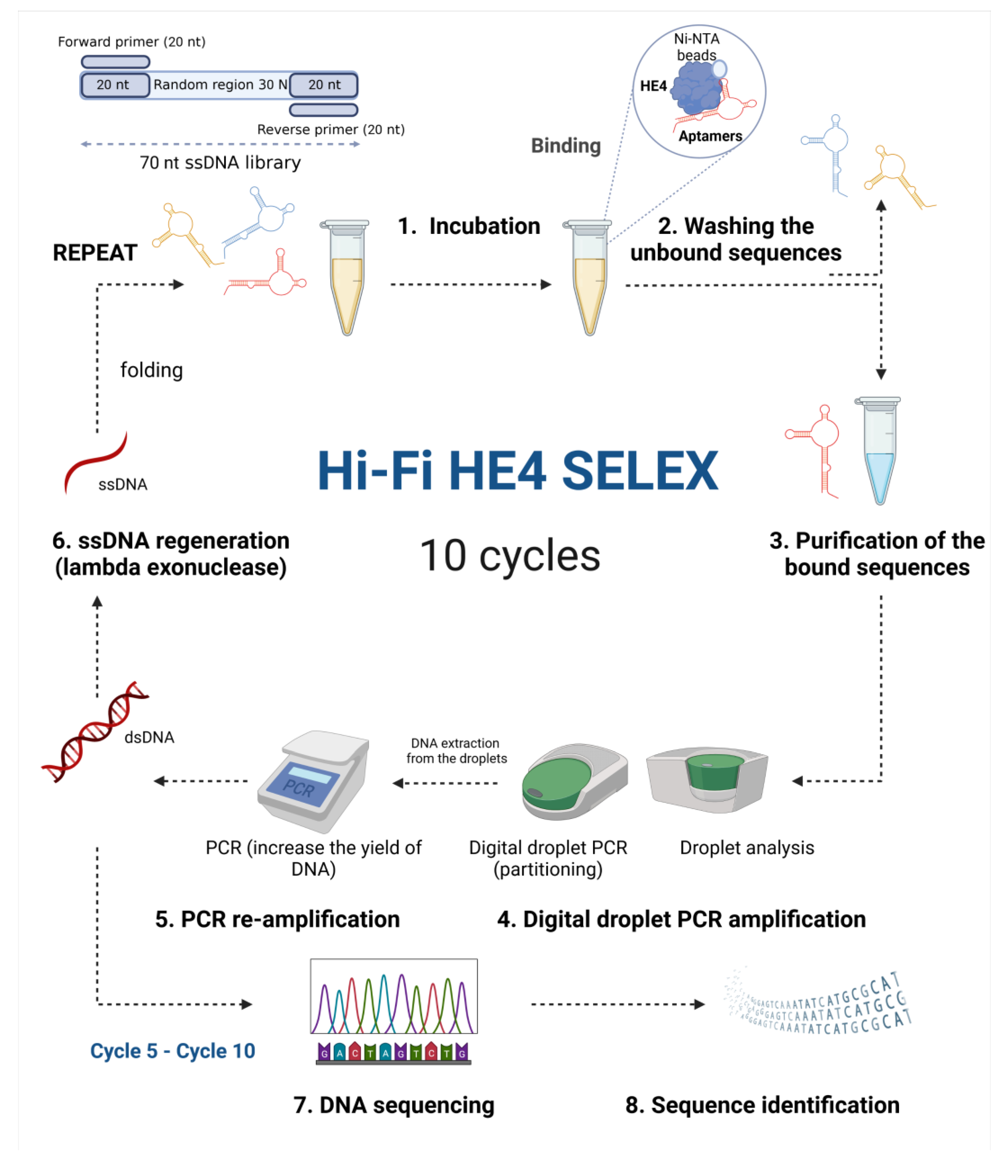 Cancers 15 00452 g001