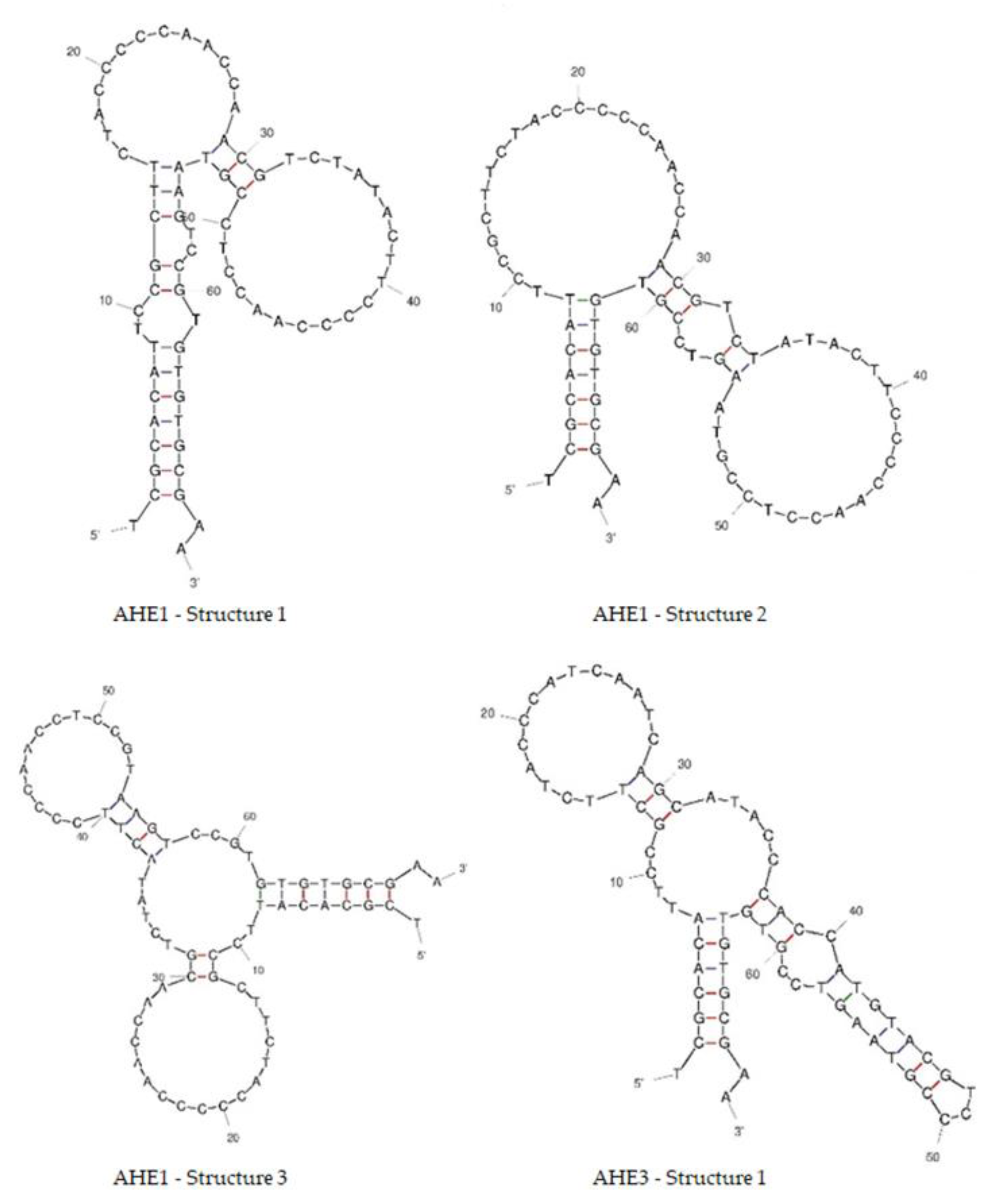 Cancers 15 00452 g005