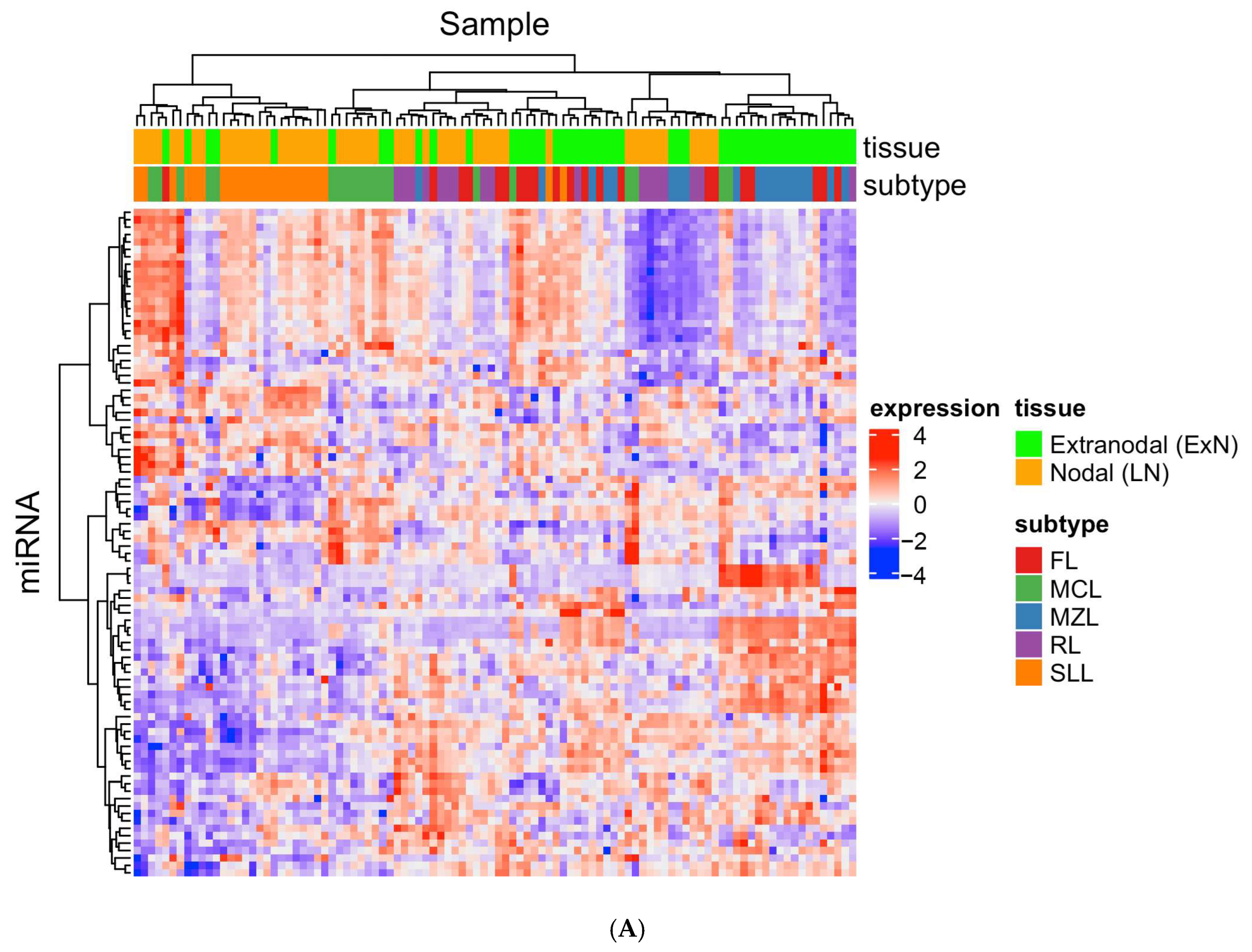 Cancers 15 00453 g002a Cancers 15 00453 g002a