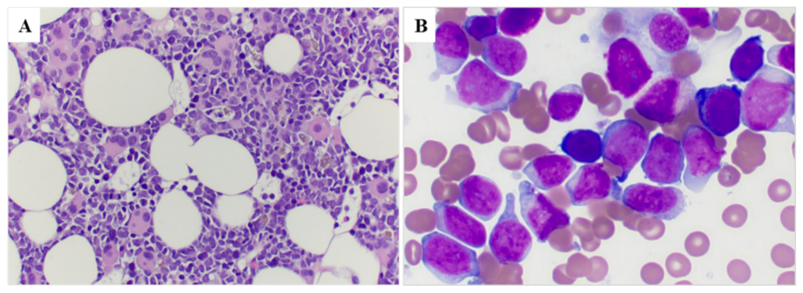 Cancers 15 00458 g002 Cancers 15 00458 g002