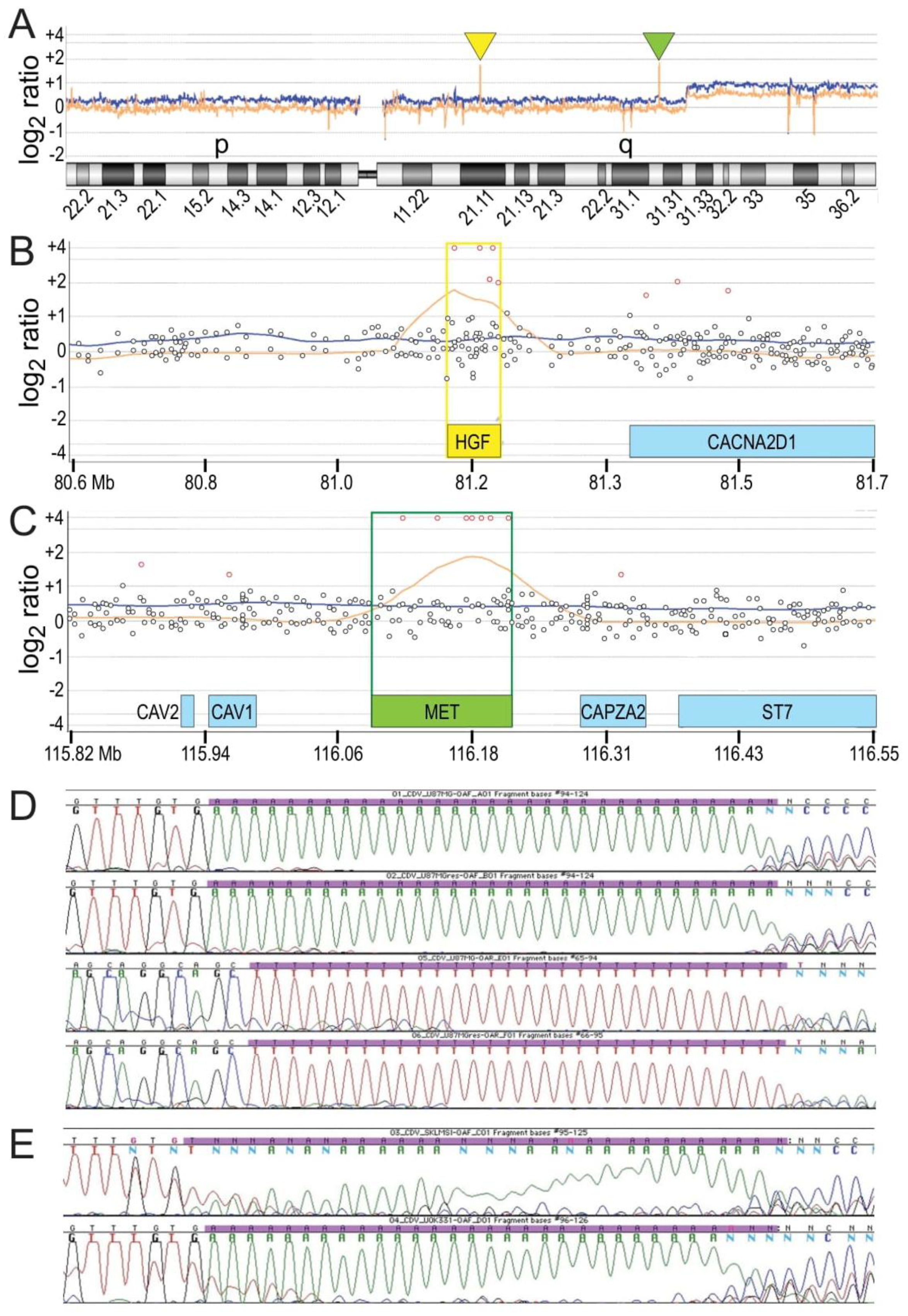 Cancers 15 00460 g005 Cancers 15 00460 g005