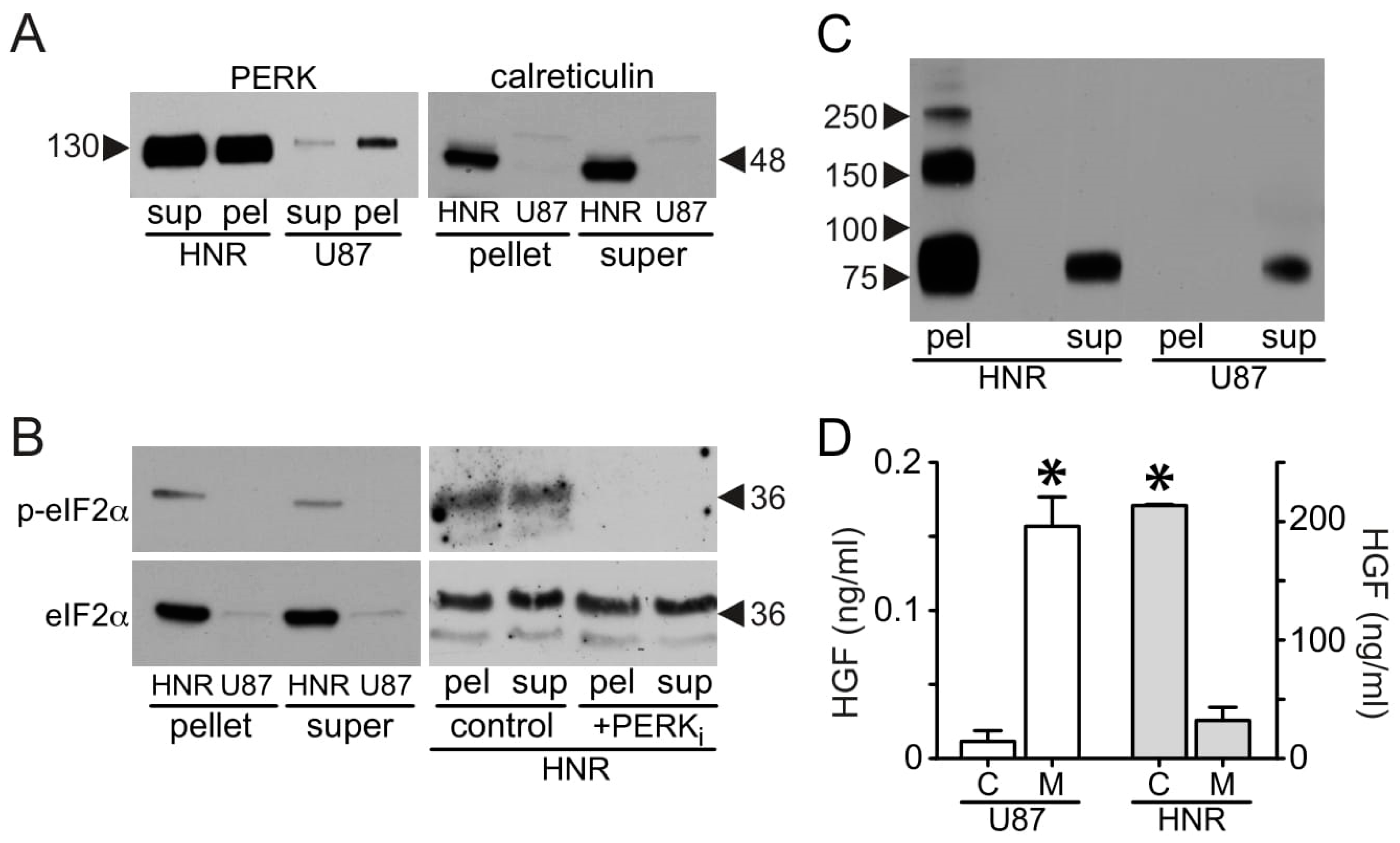 Cancers 15 00460 g008 Cancers 15 00460 g008