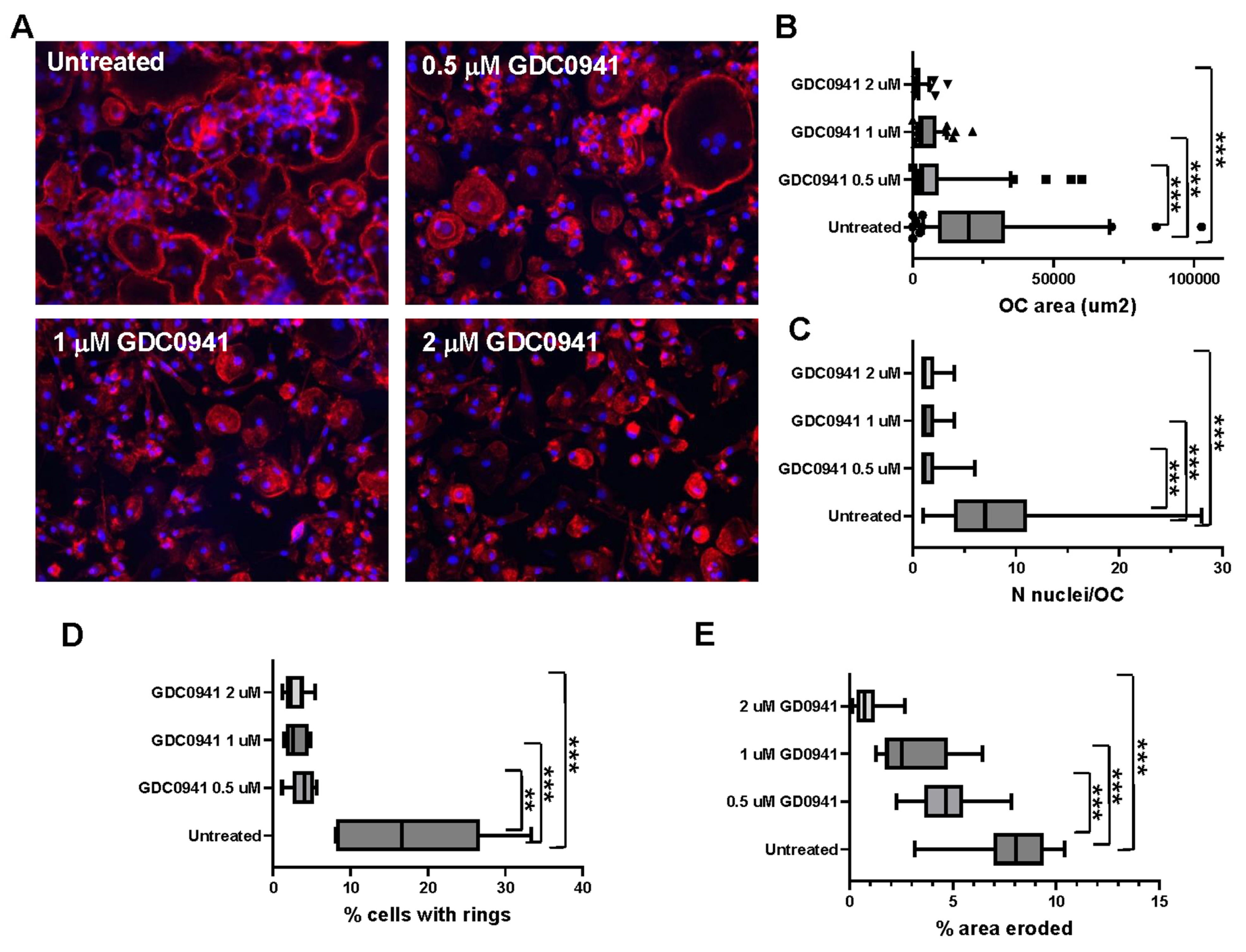 Cancers 15 00462 g006