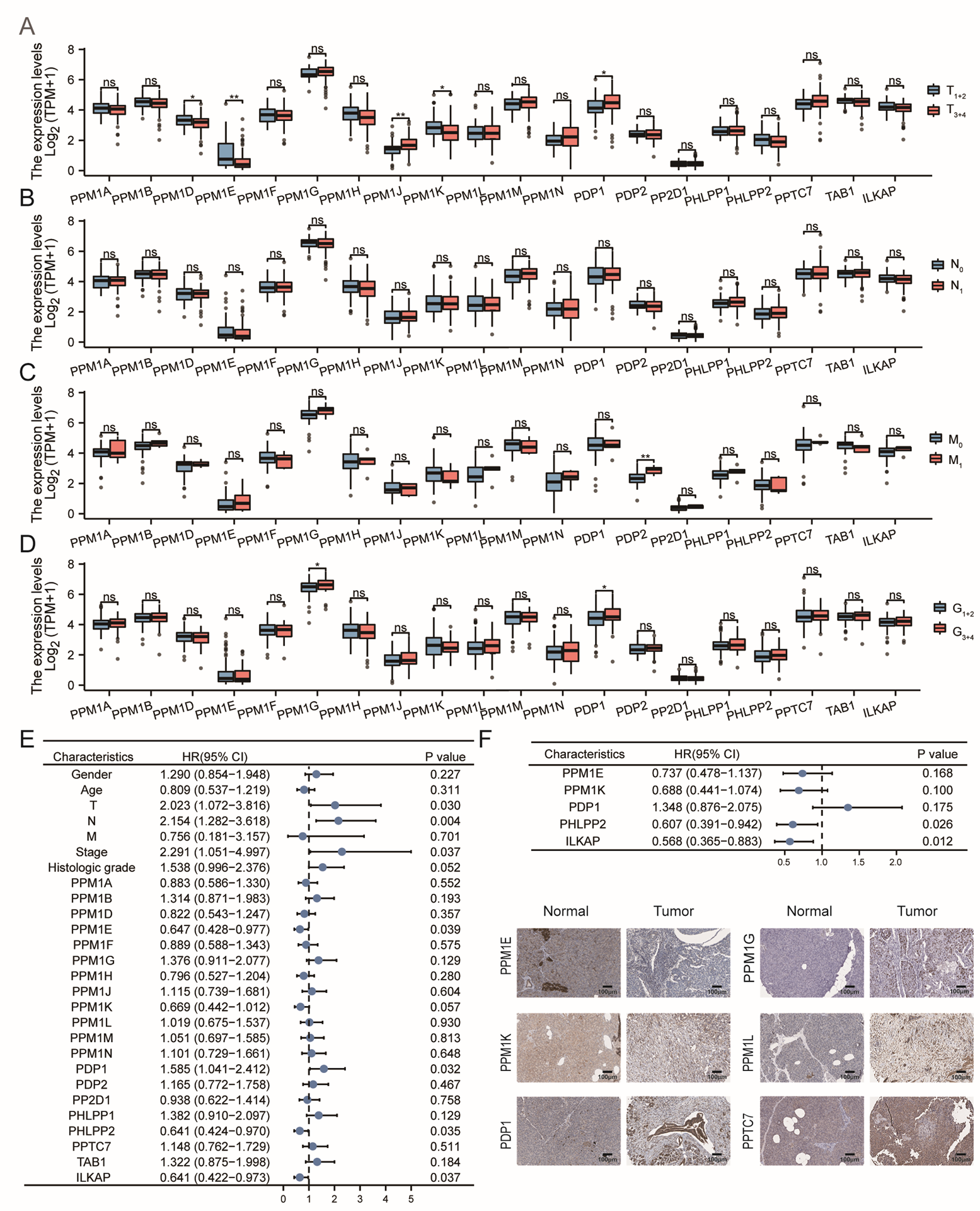Cancers 15 00474 g003 Cancers 15 00474 g003