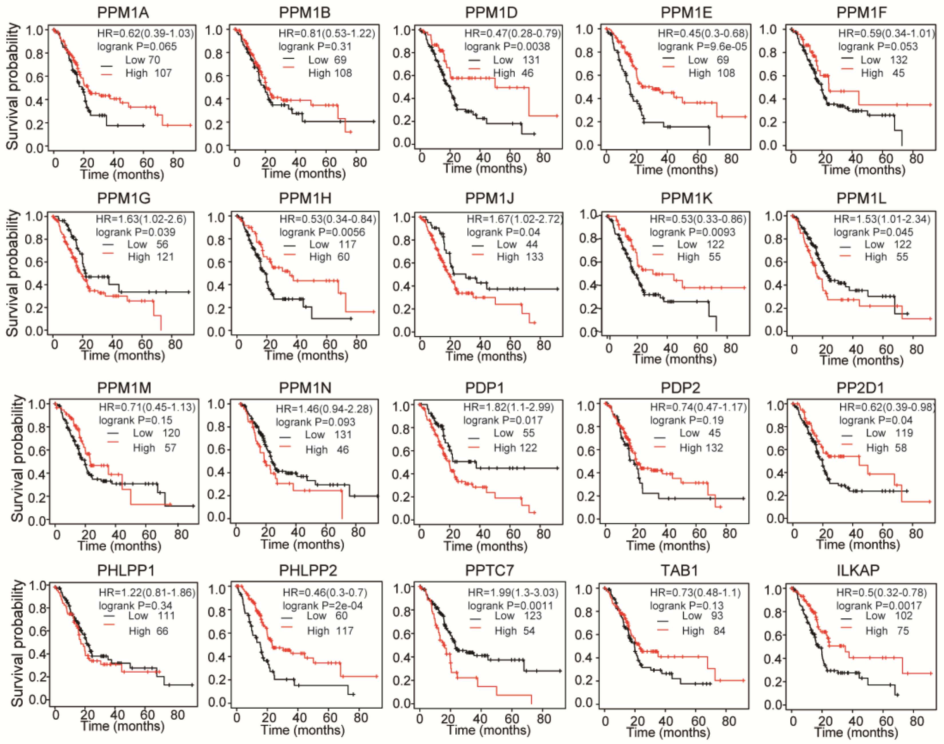 Cancers 15 00474 g004 Cancers 15 00474 g004