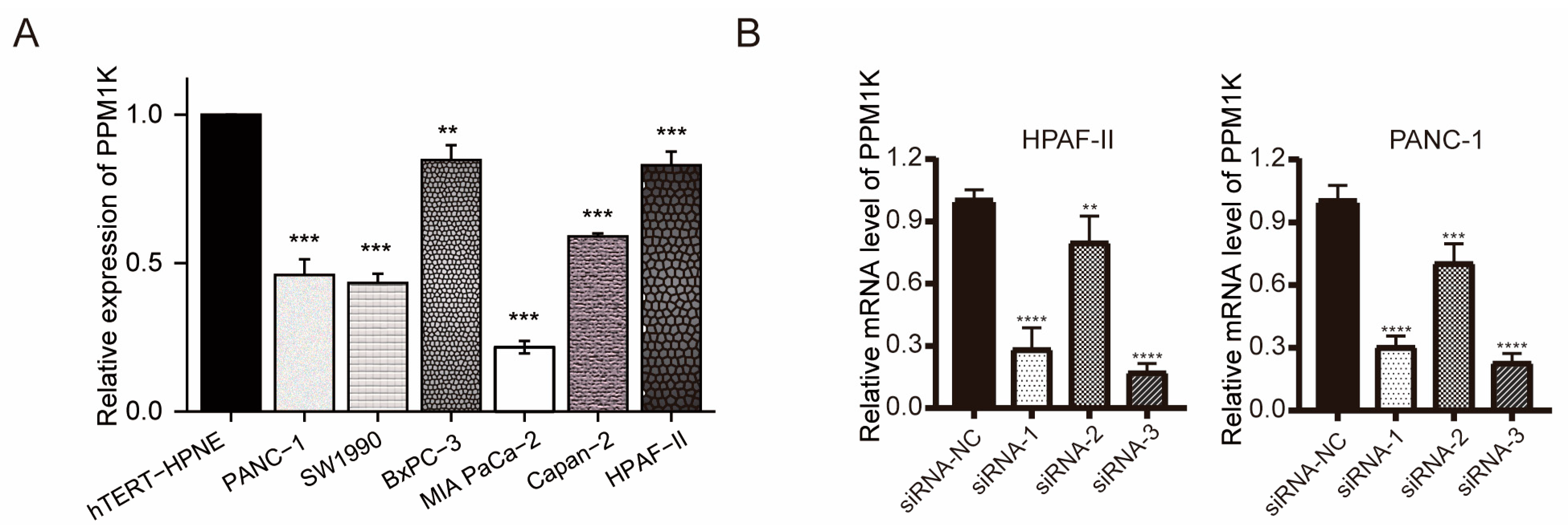 Cancers 15 00474 g006a Cancers 15 00474 g006a
