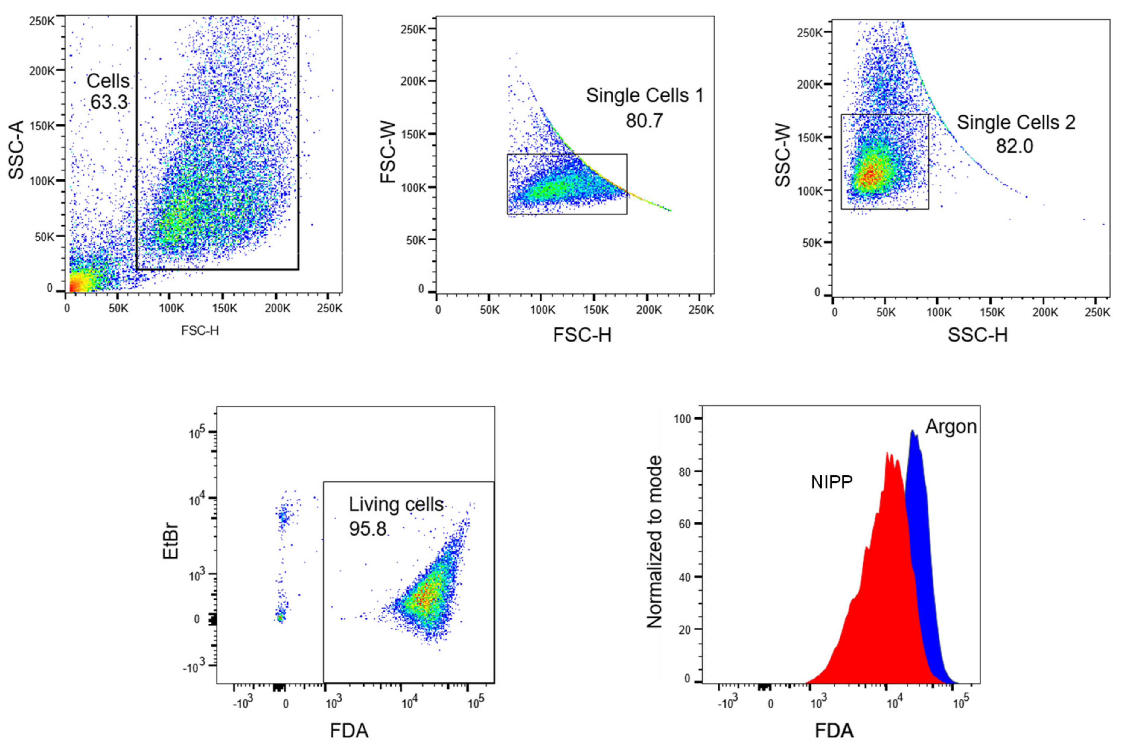 Cancers 15 00481 g008 Cancers 15 00481 g008