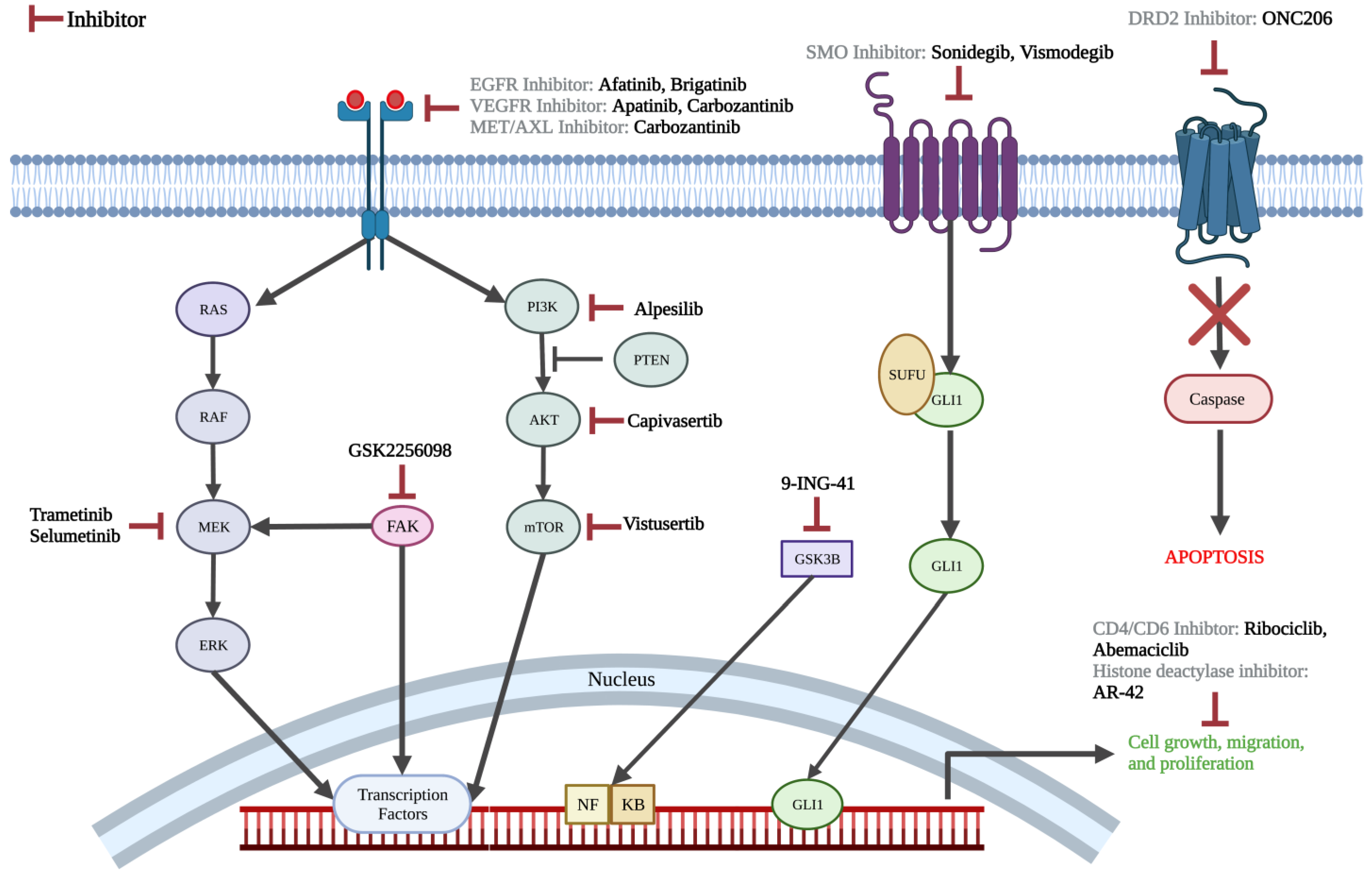 Cancers 15 00483 g002 Cancers 15 00483 g002