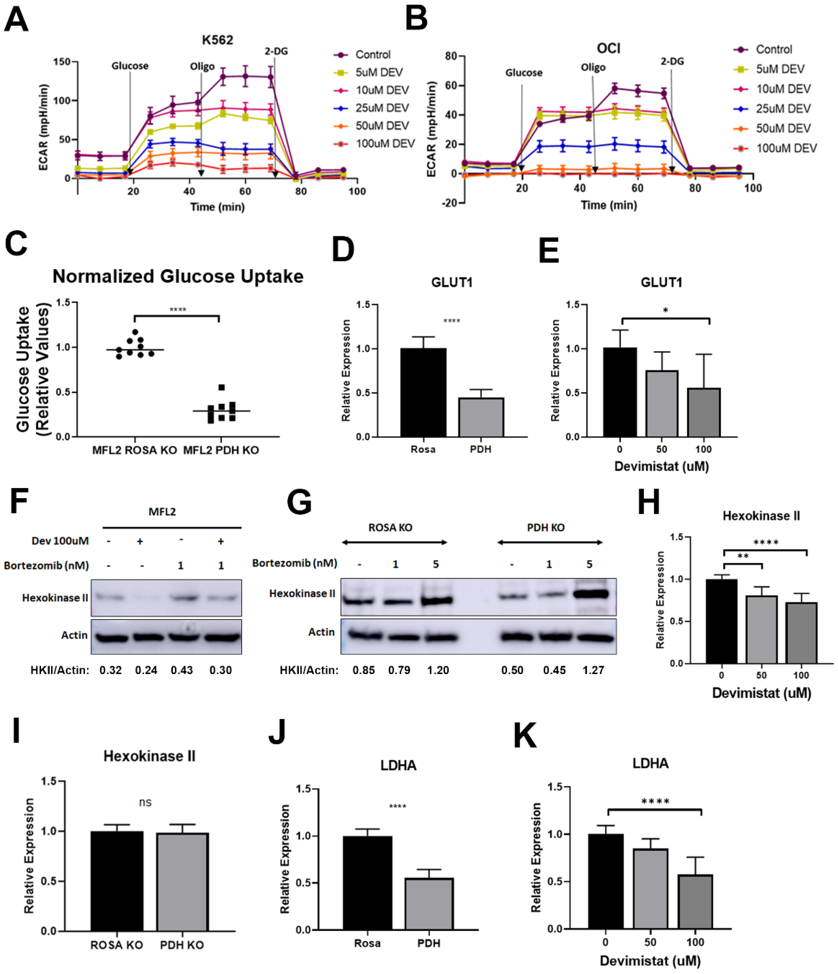 Cancers 15 00484 g001