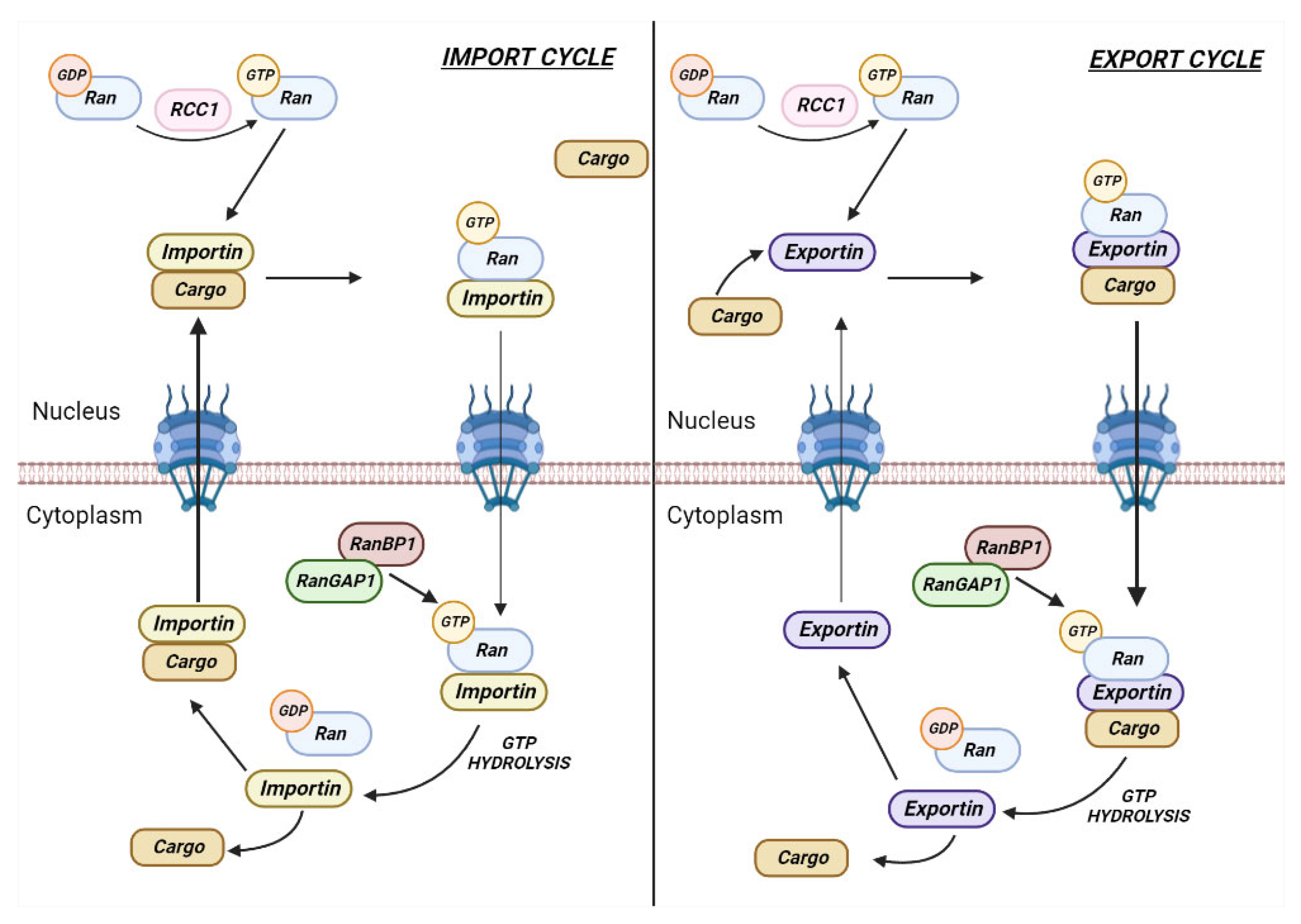 Cancers 15 00486 g002