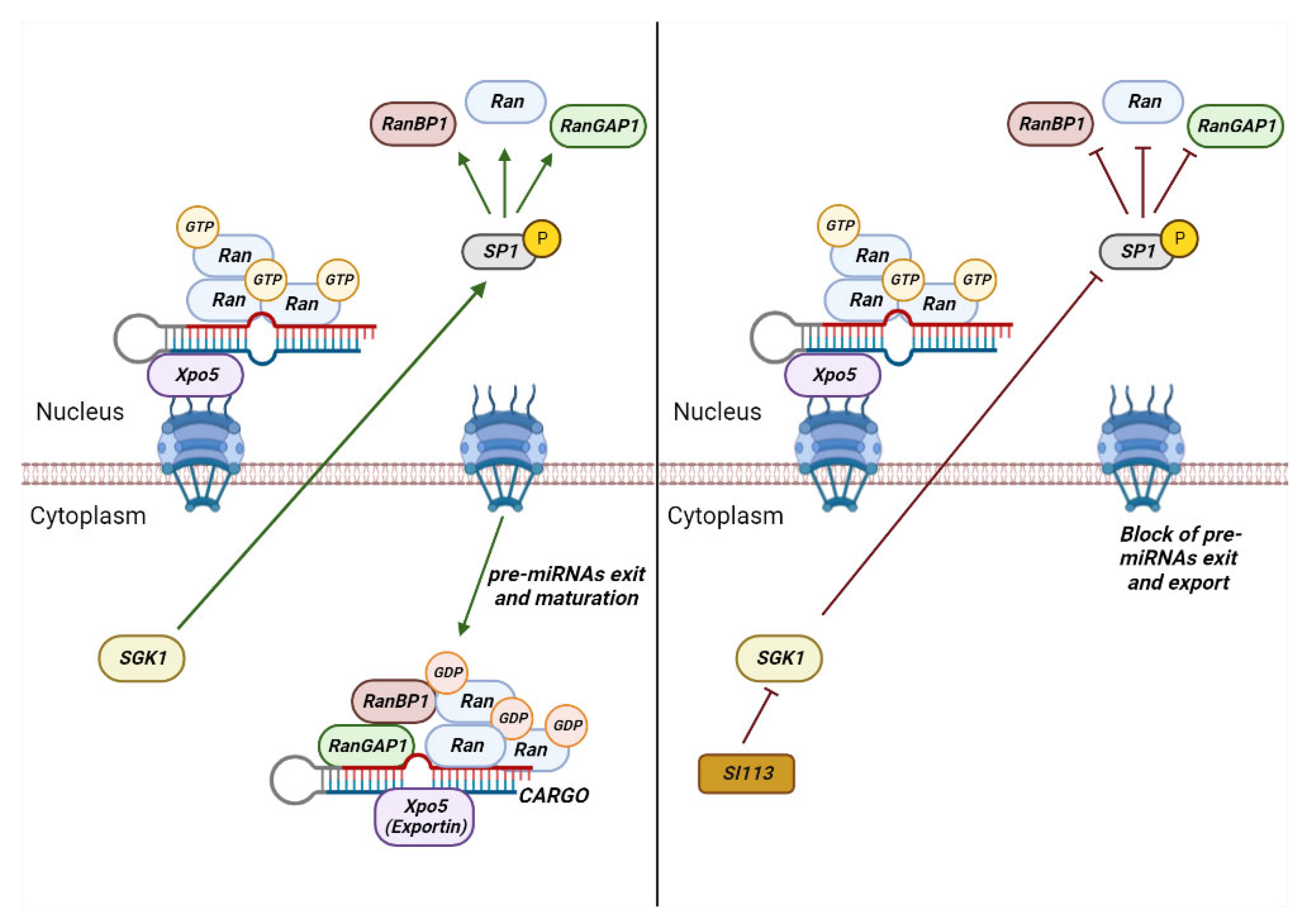 Cancers 15 00486 g003
