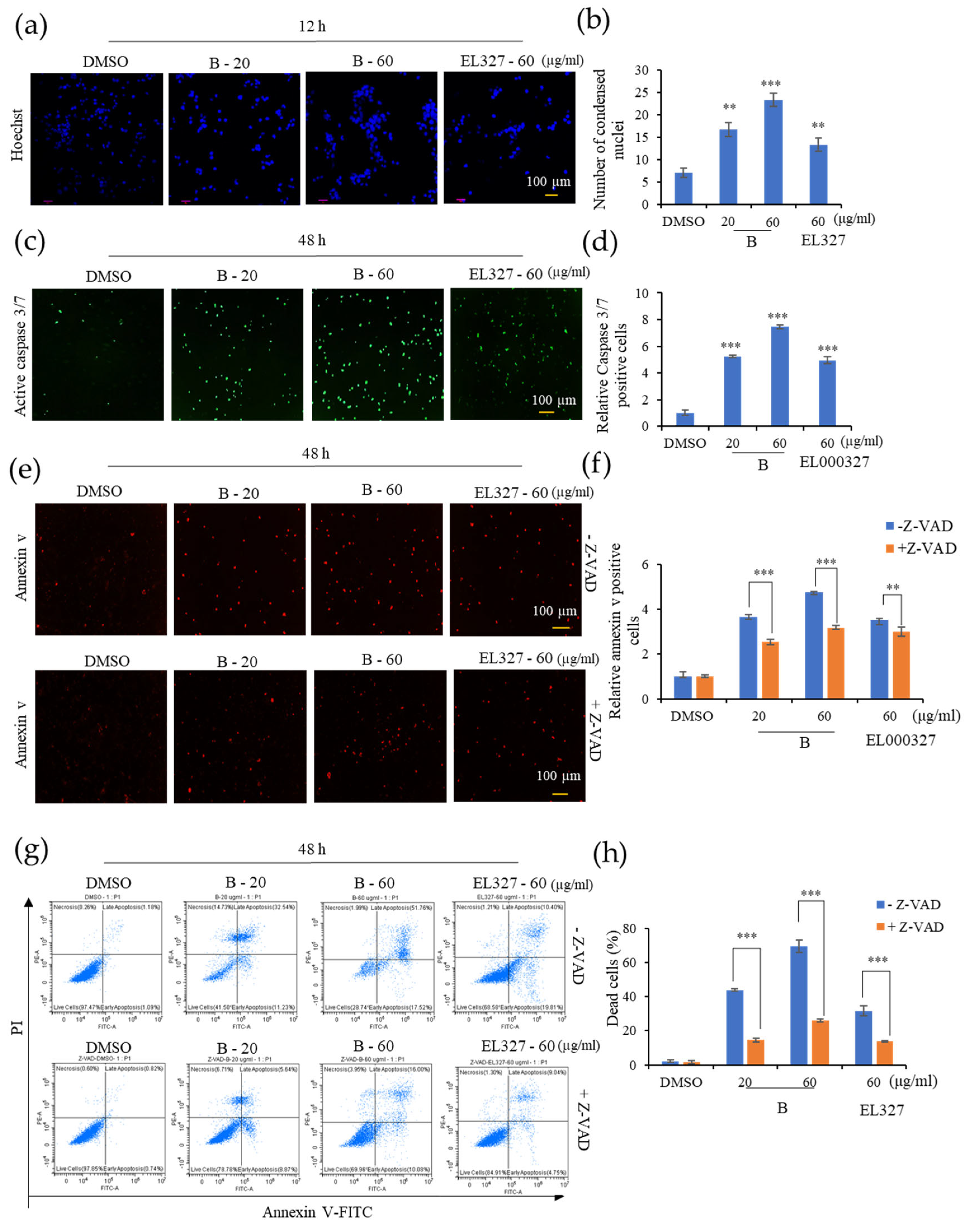 Cancers 15 00489 g003