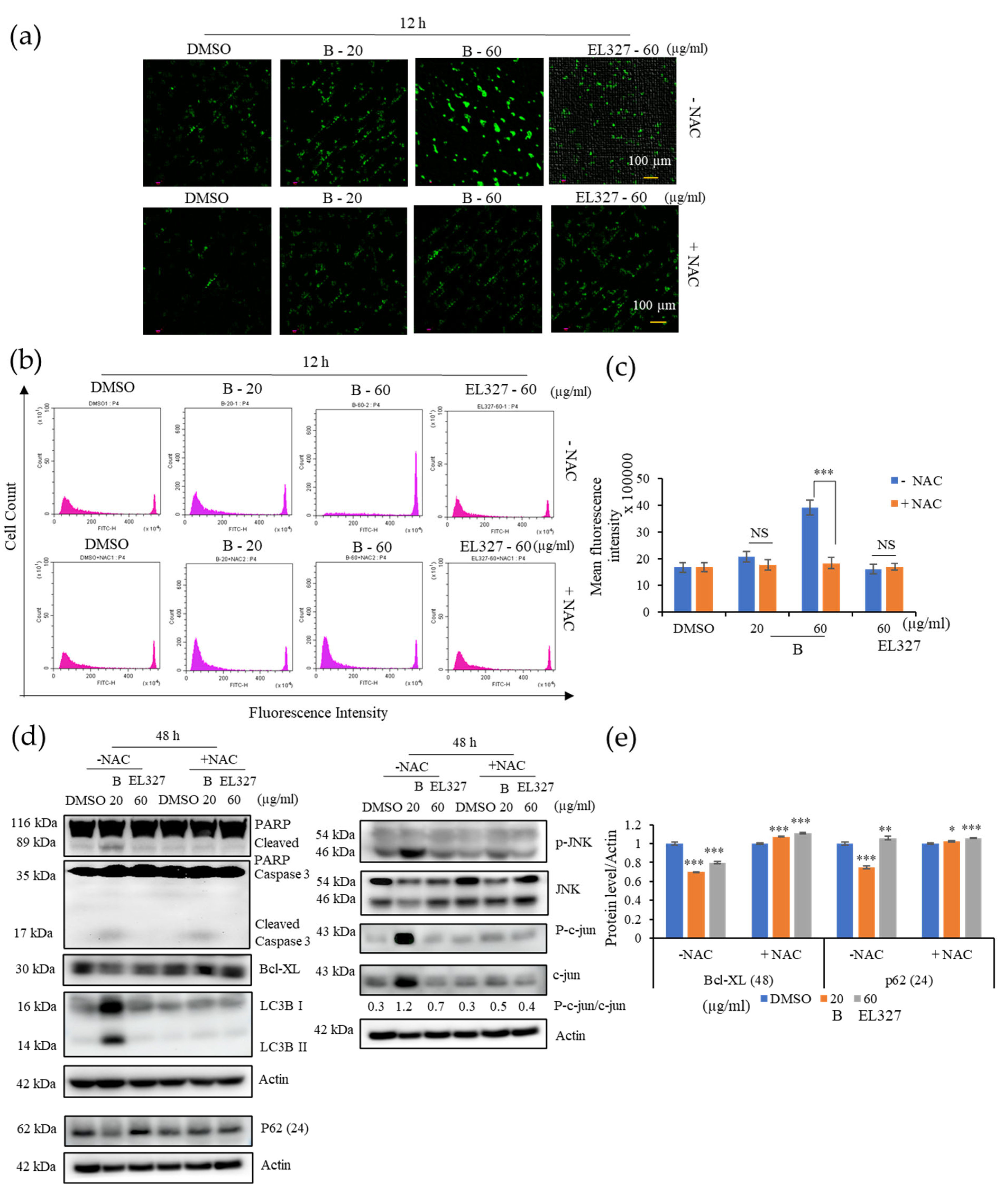 Cancers 15 00489 g005