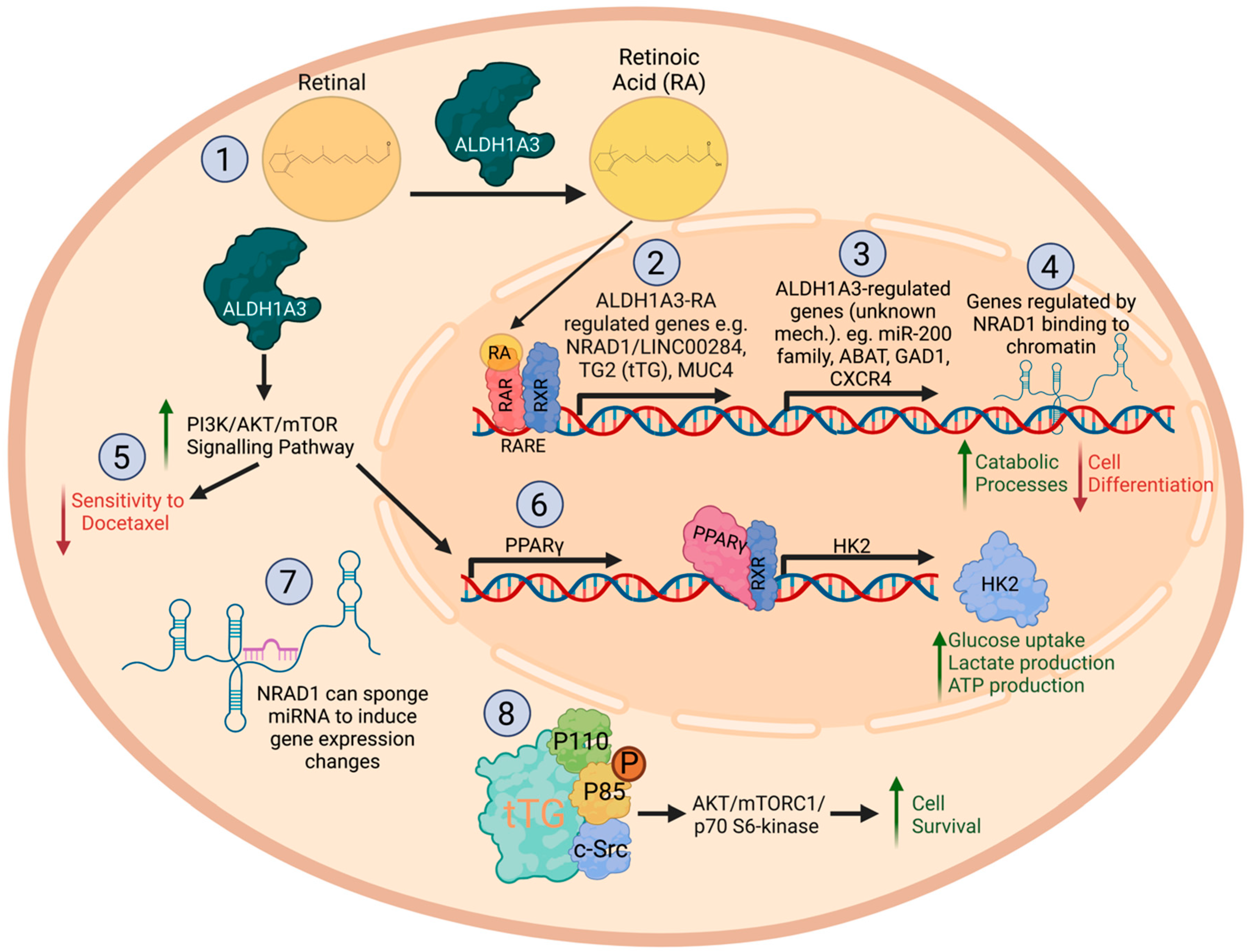 Cancers 15 00492 g001 Cancers 15 00492 g001
