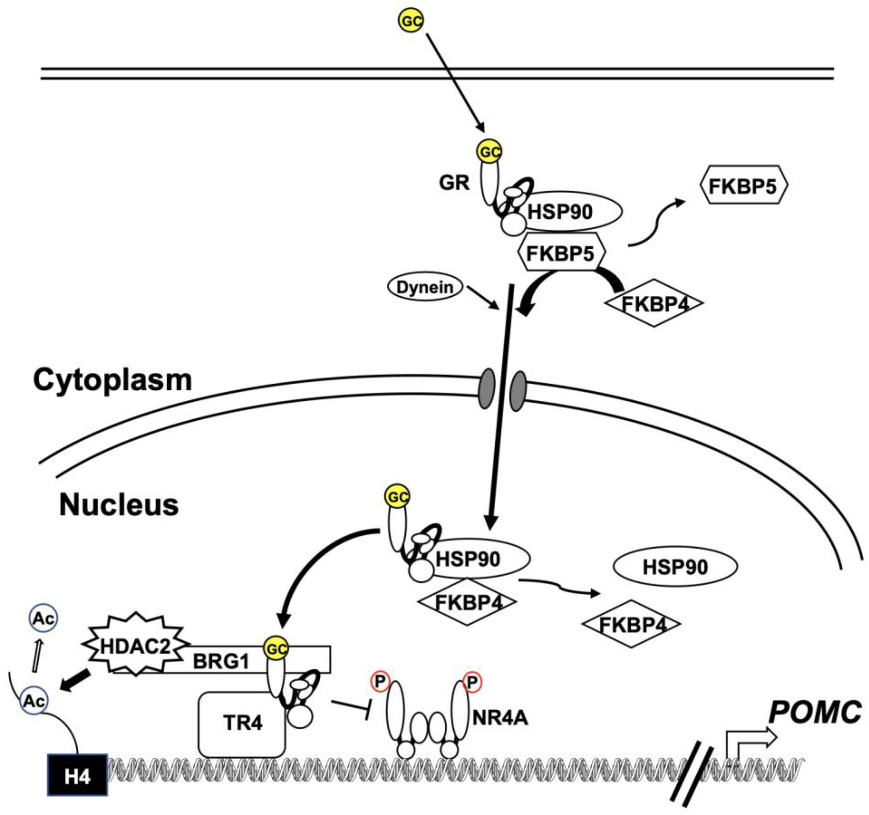 Cancers 15 00496 g002 Cancers 15 00496 g002