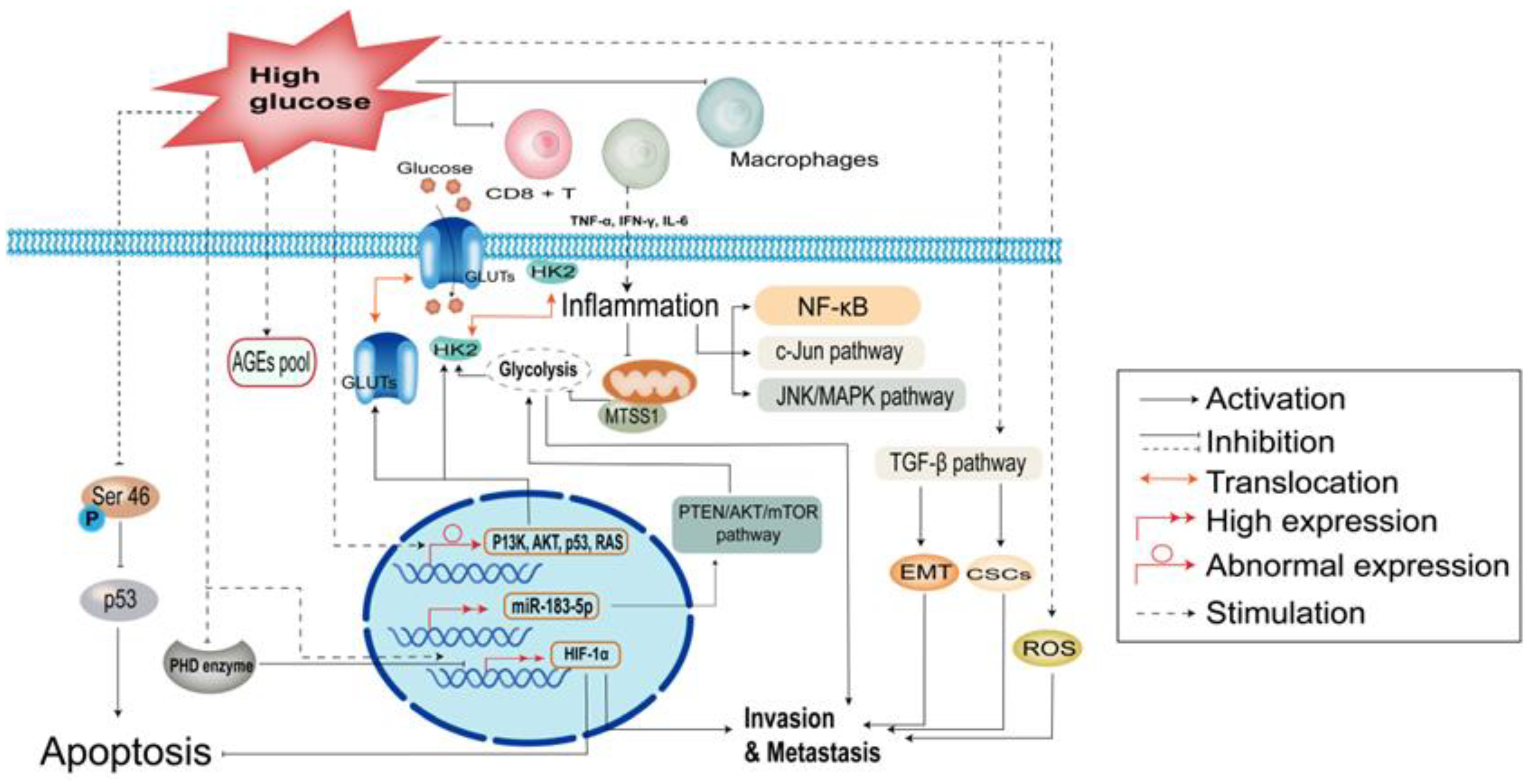 Cancers 15 00498 g001