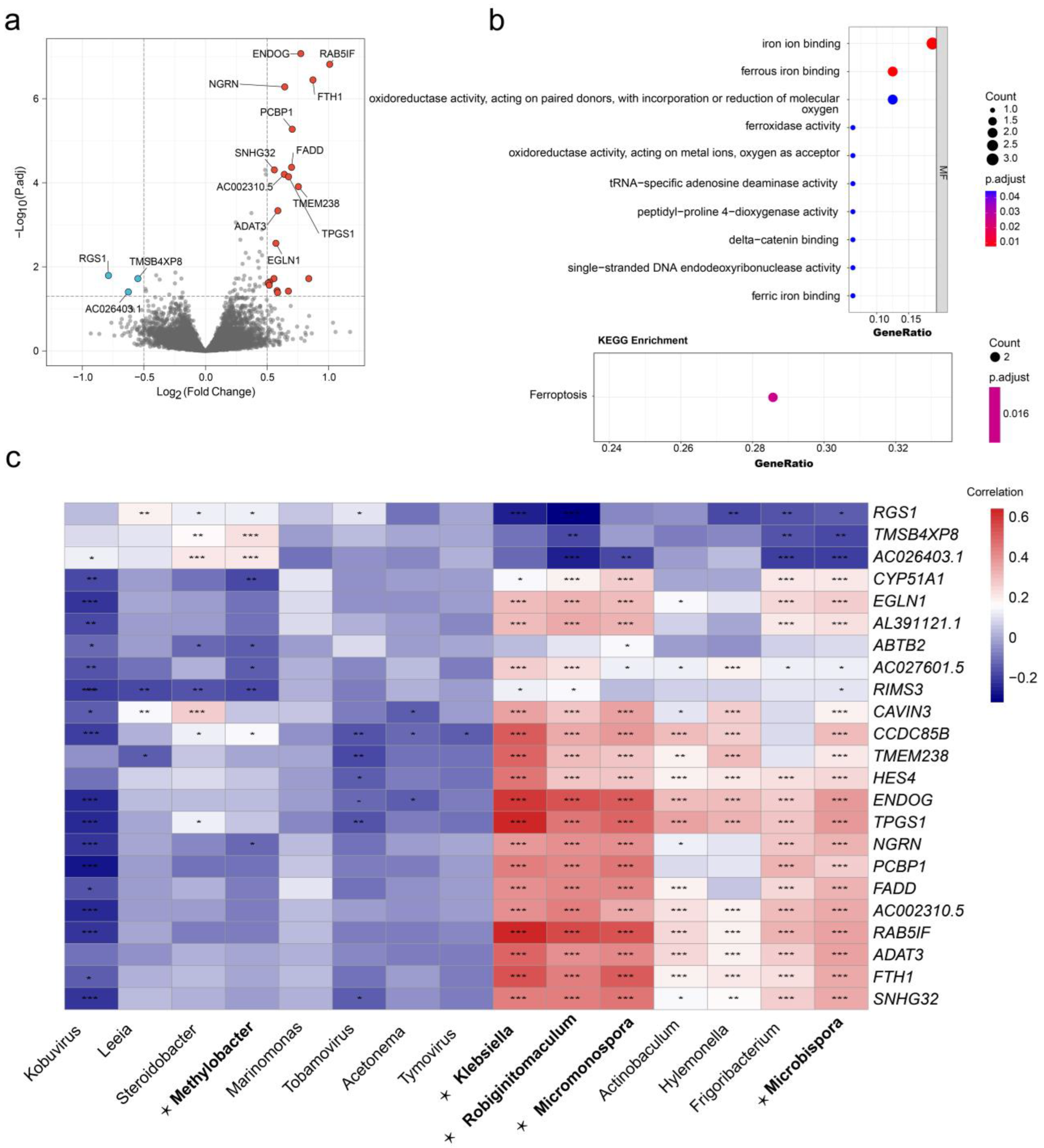 Cancers 15 00509 g006 Cancers 15 00509 g006
