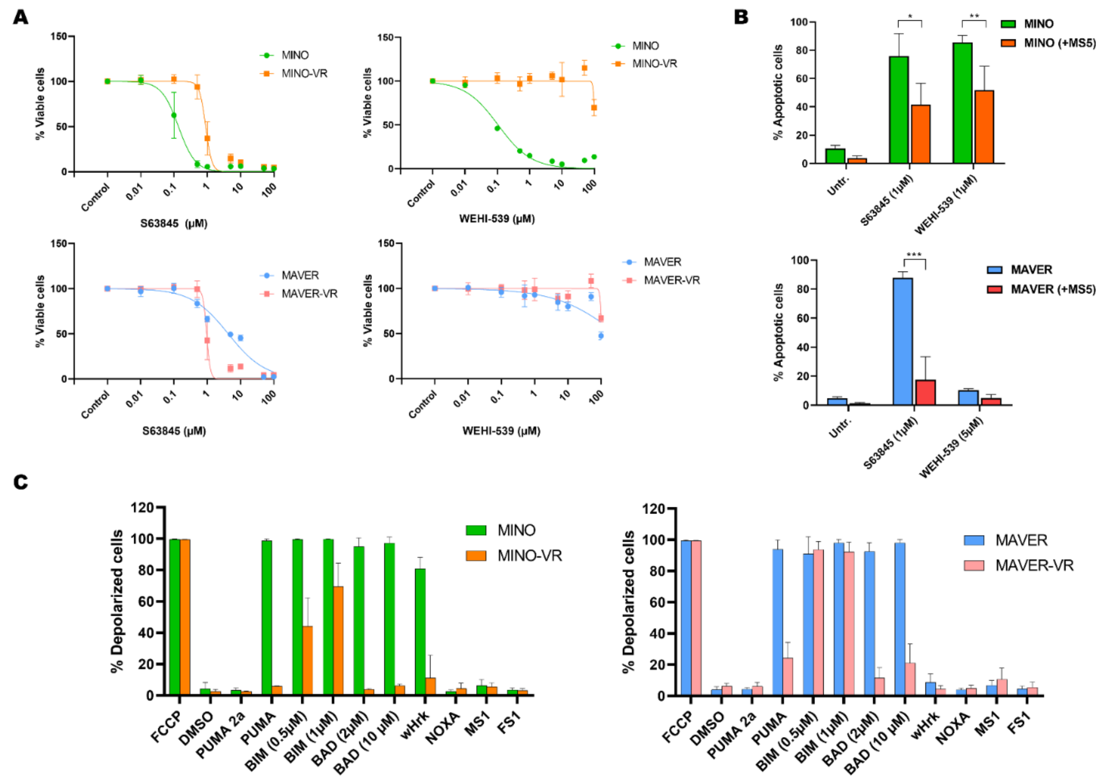 Cancers 15 00510 g002 Cancers 15 00510 g002