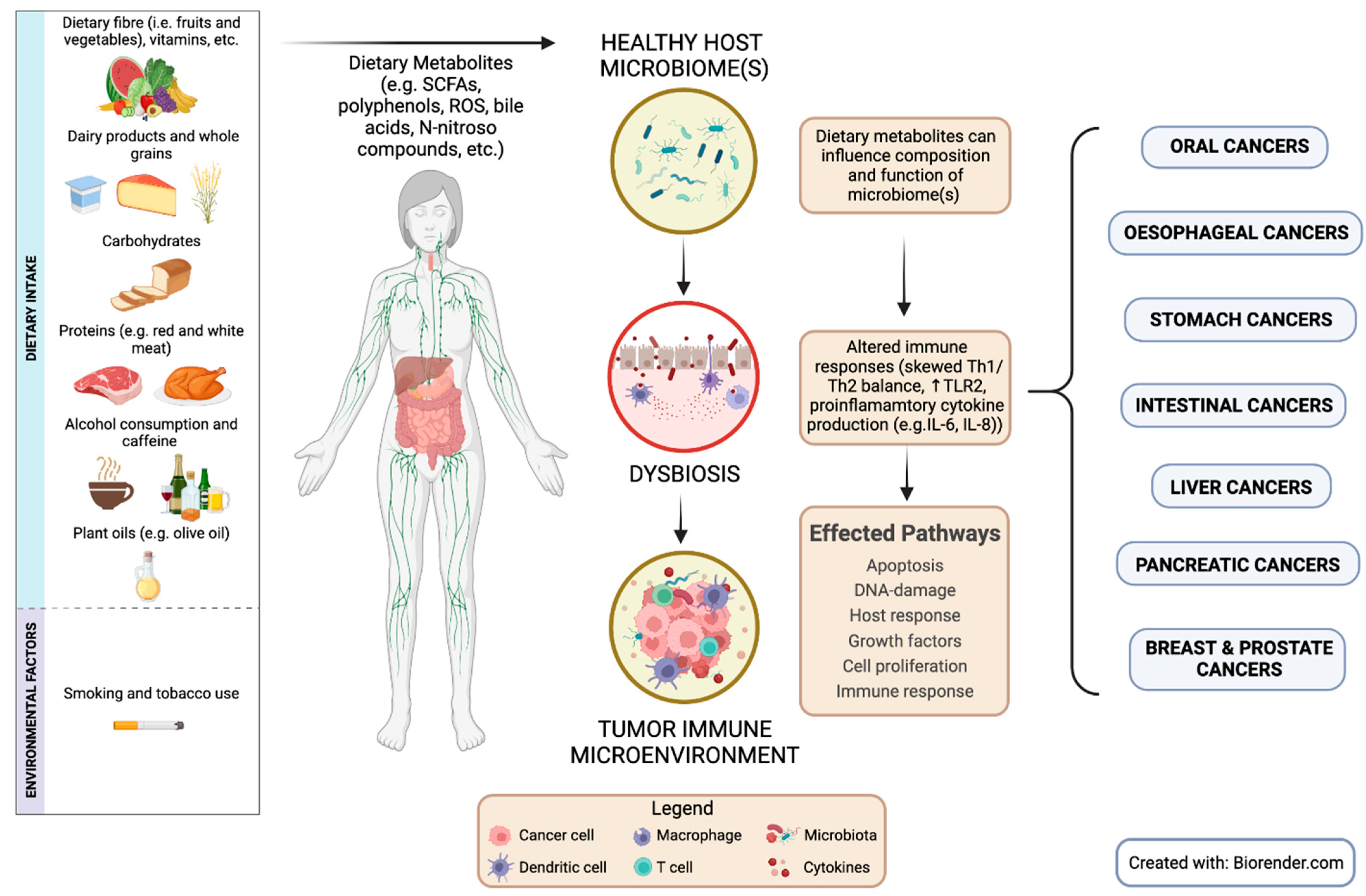 Cancers 15 00521 g002 Cancers 15 00521 g002