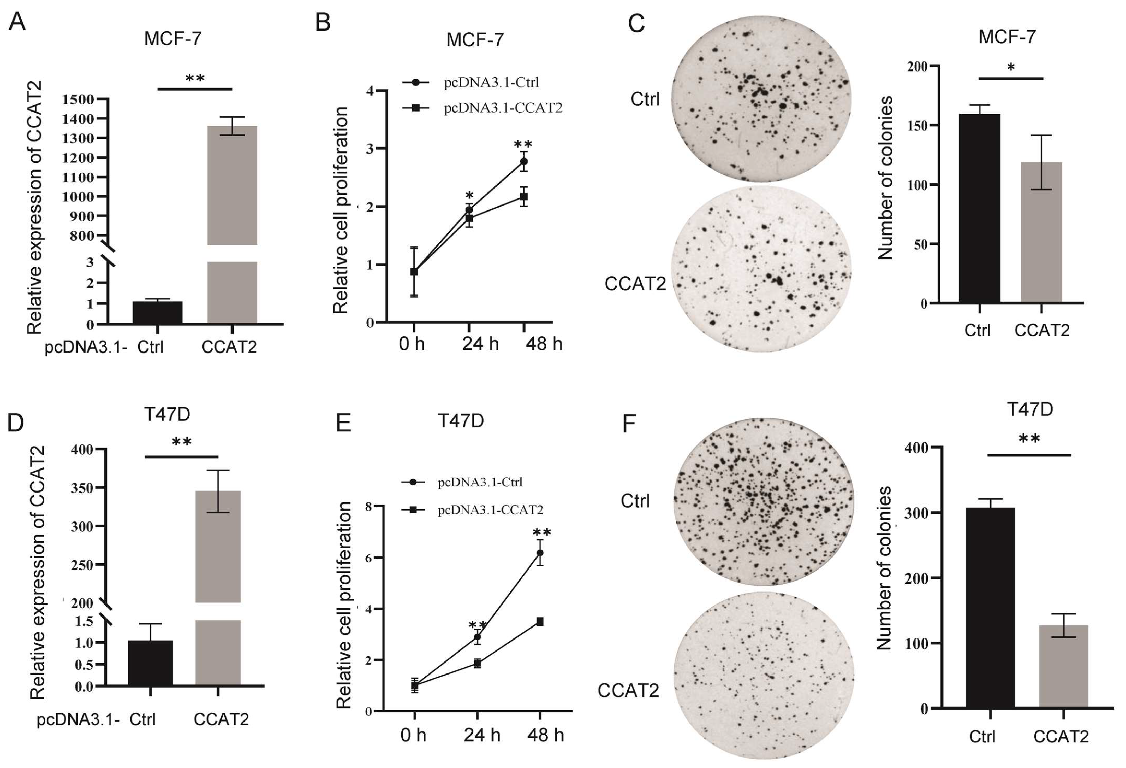 Cancers 15 00538 g002 Cancers 15 00538 g002
