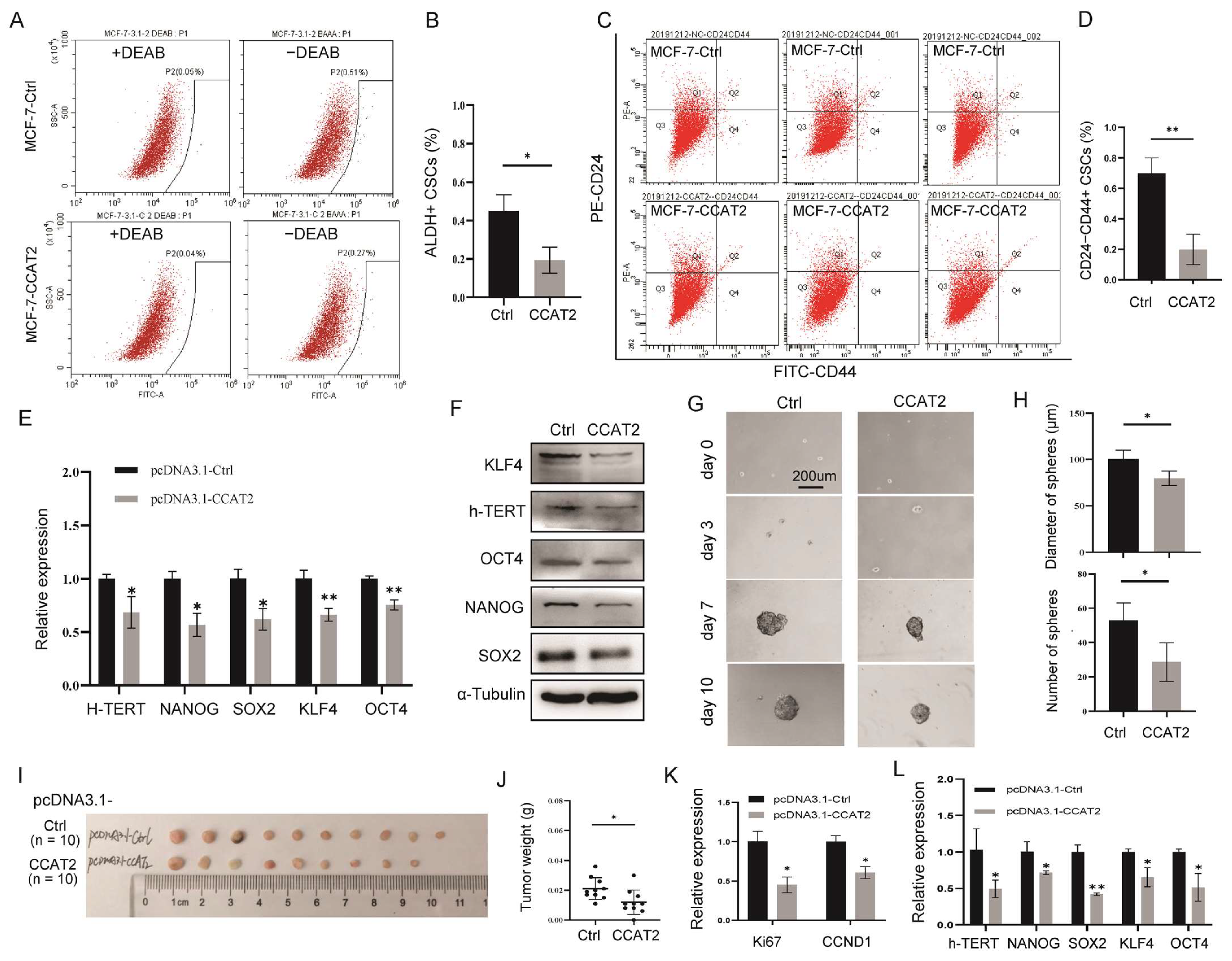 Cancers 15 00538 g003 Cancers 15 00538 g003