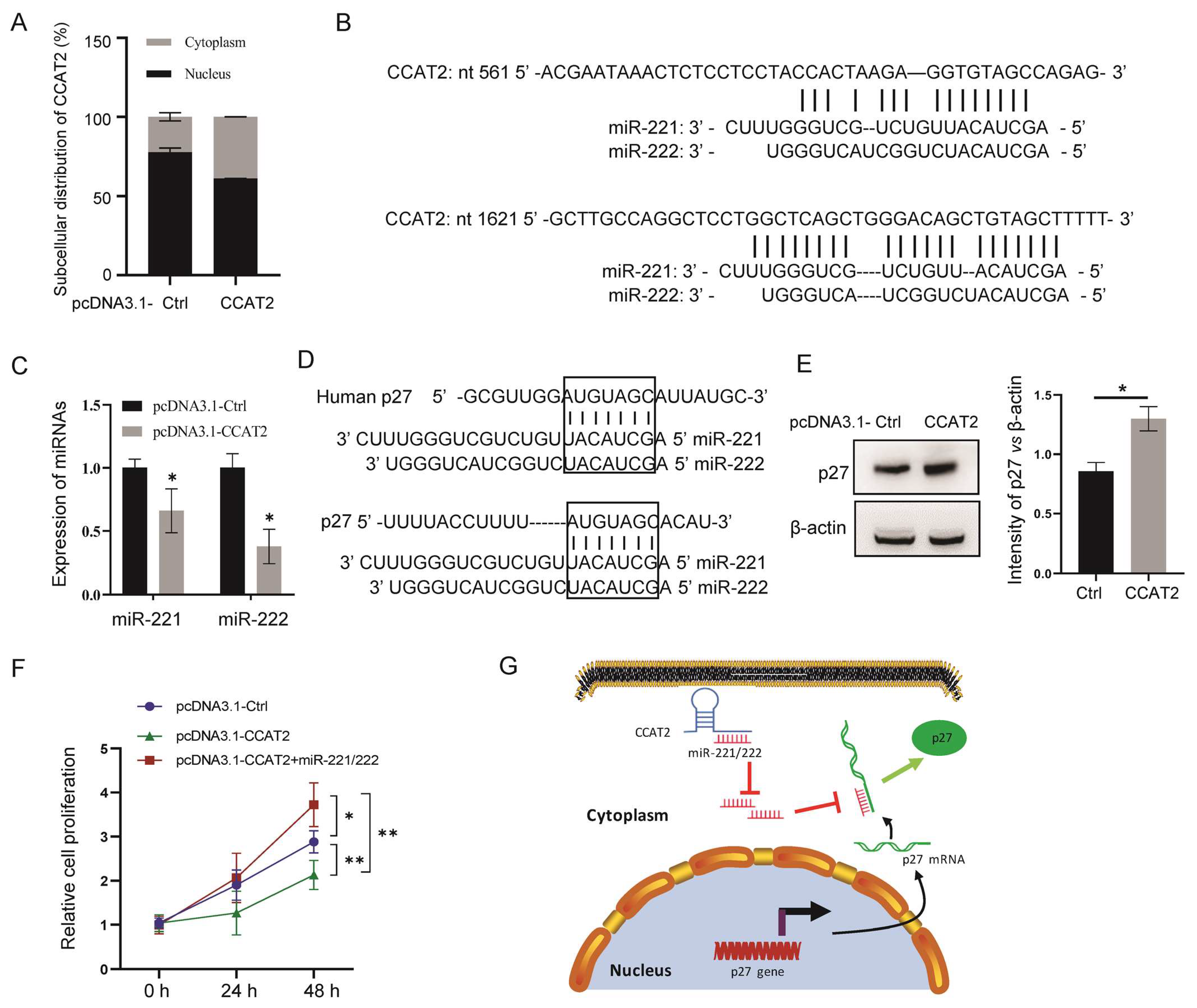 Cancers 15 00538 g004 Cancers 15 00538 g004
