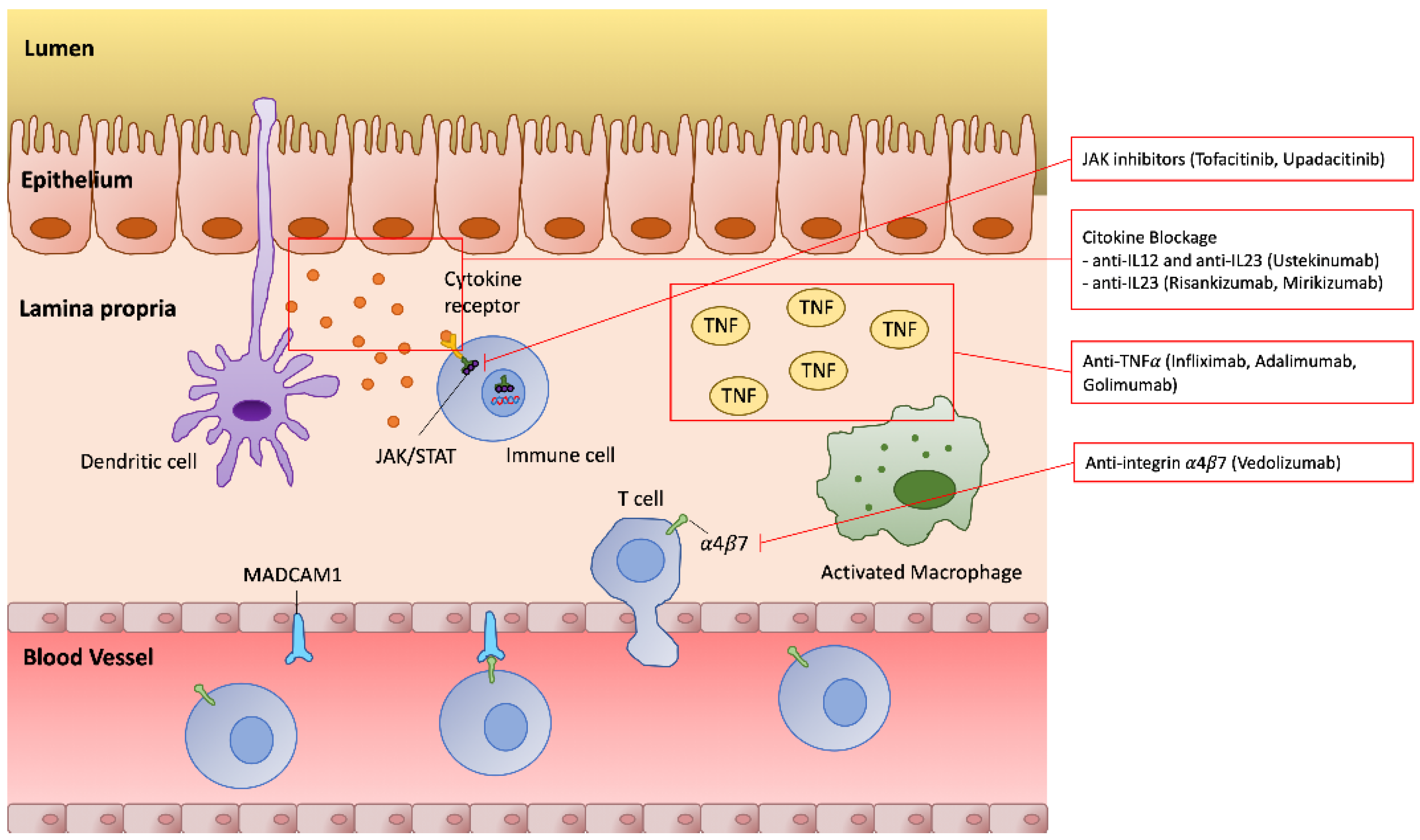 Cancers 15 00542 g001