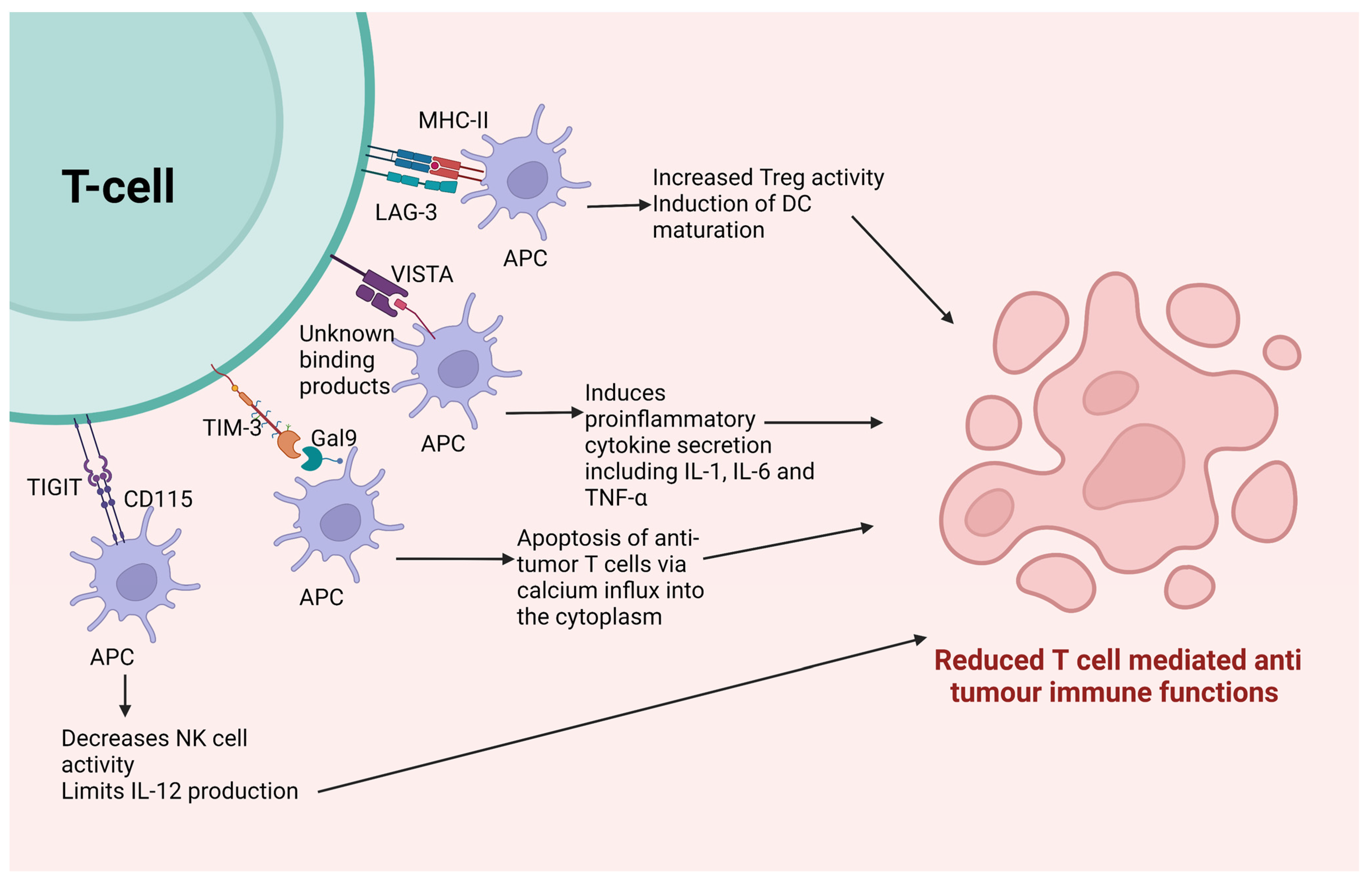 Cancers 15 00543 g002 Cancers 15 00543 g002