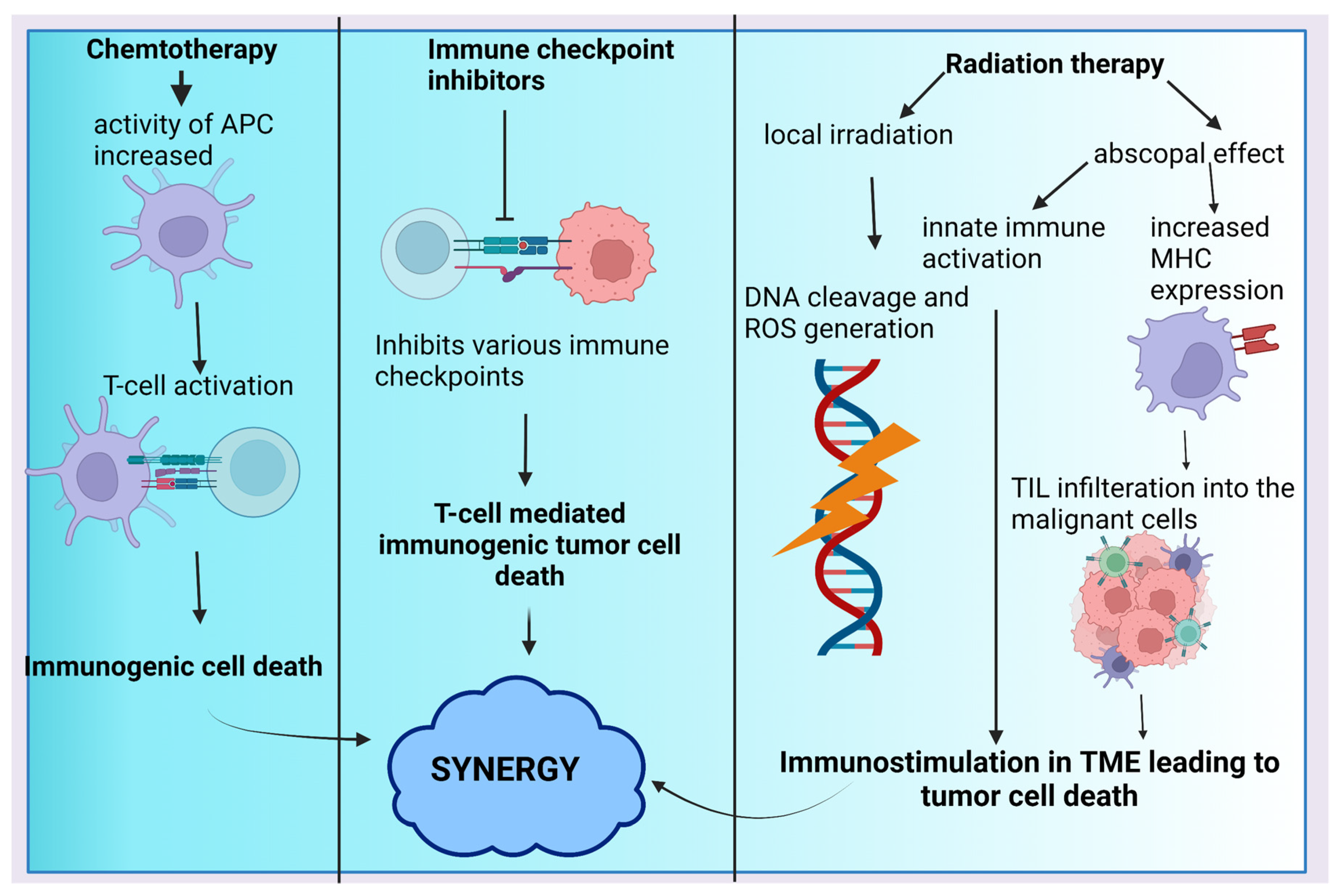 Cancers 15 00543 g003 Cancers 15 00543 g003