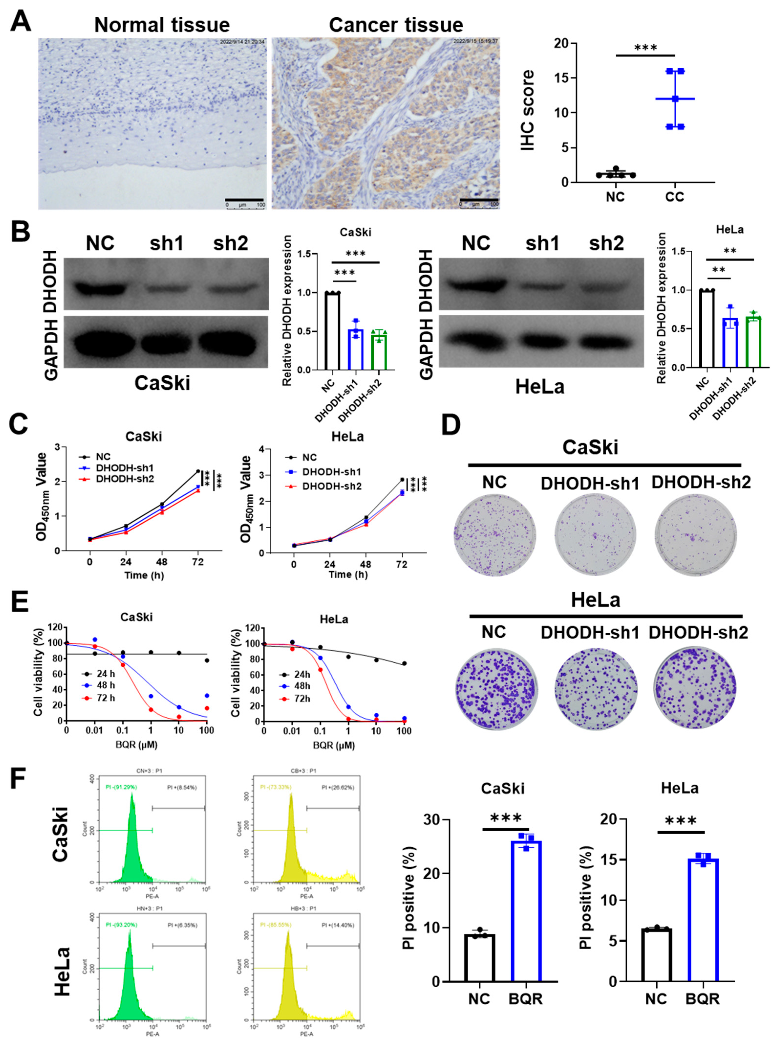 Cancers 15 00546 g001