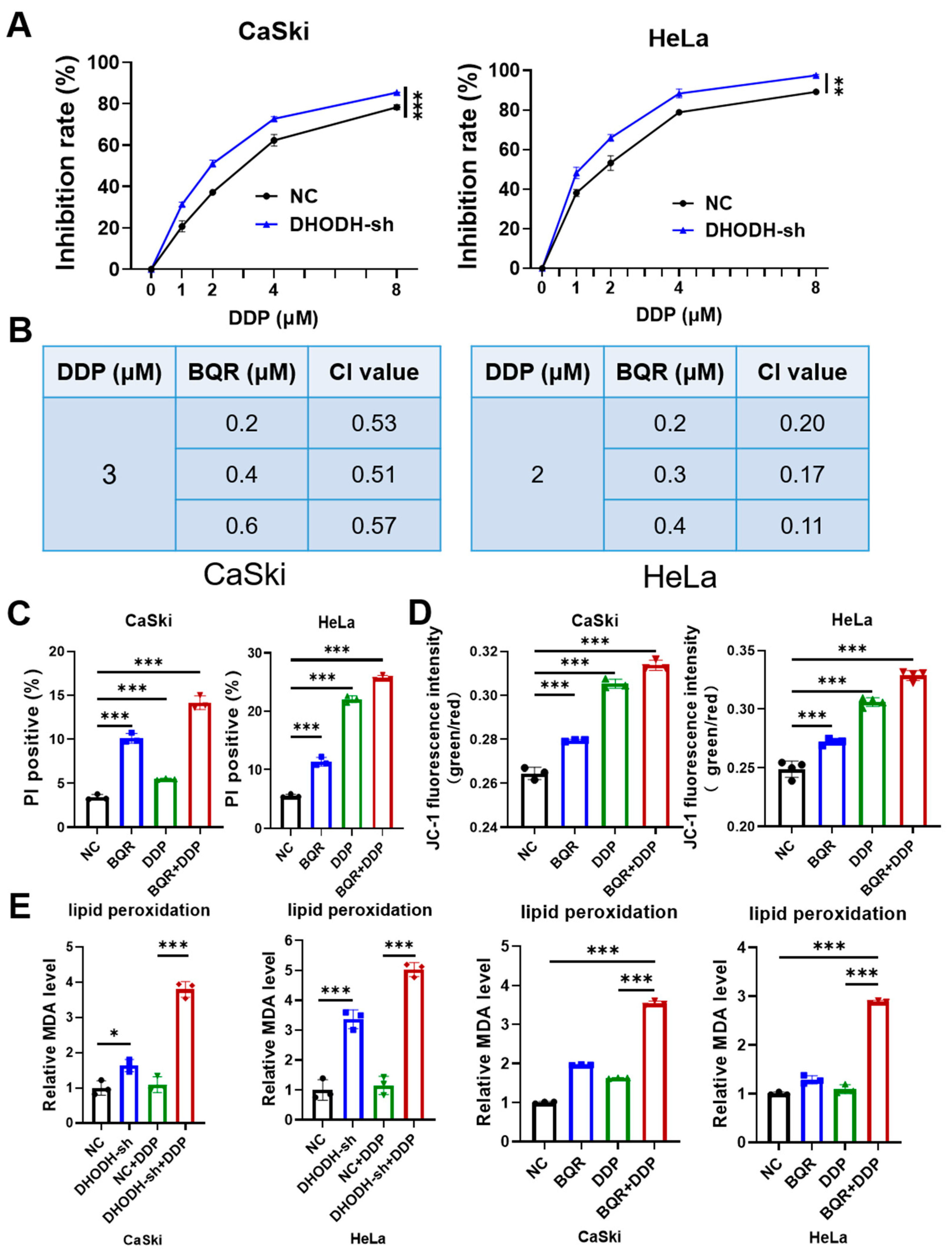 Cancers 15 00546 g003