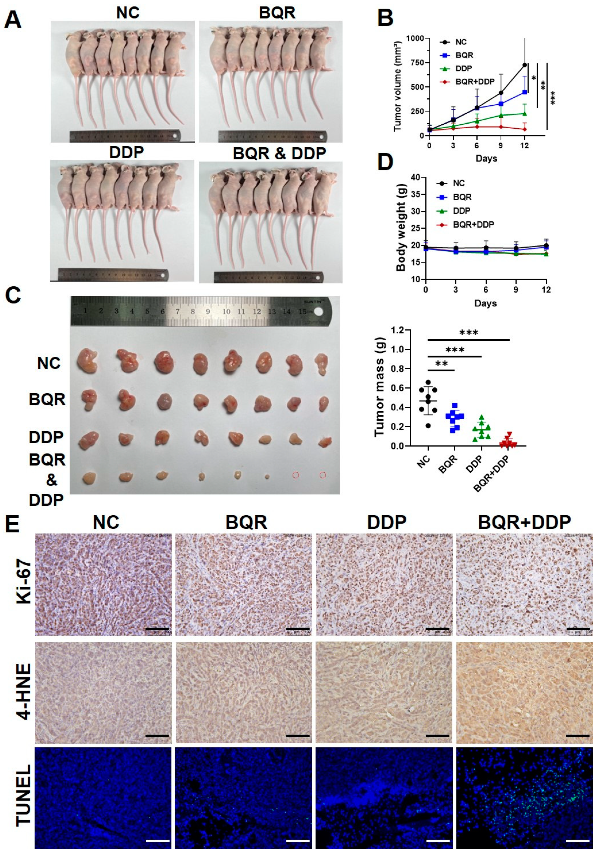 Cancers 15 00546 g004