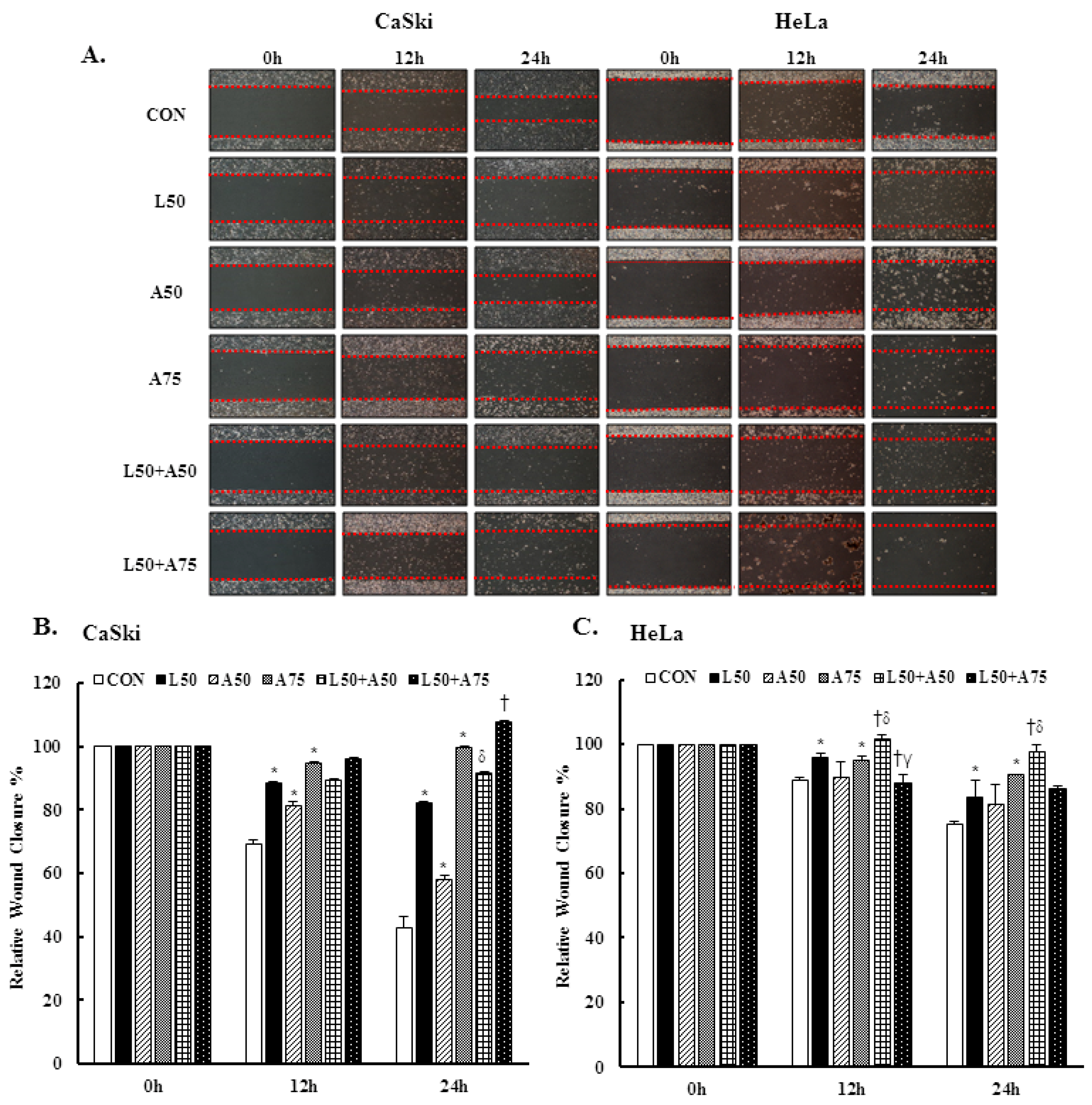 Cancers 15 00548 g005a Cancers 15 00548 g005a