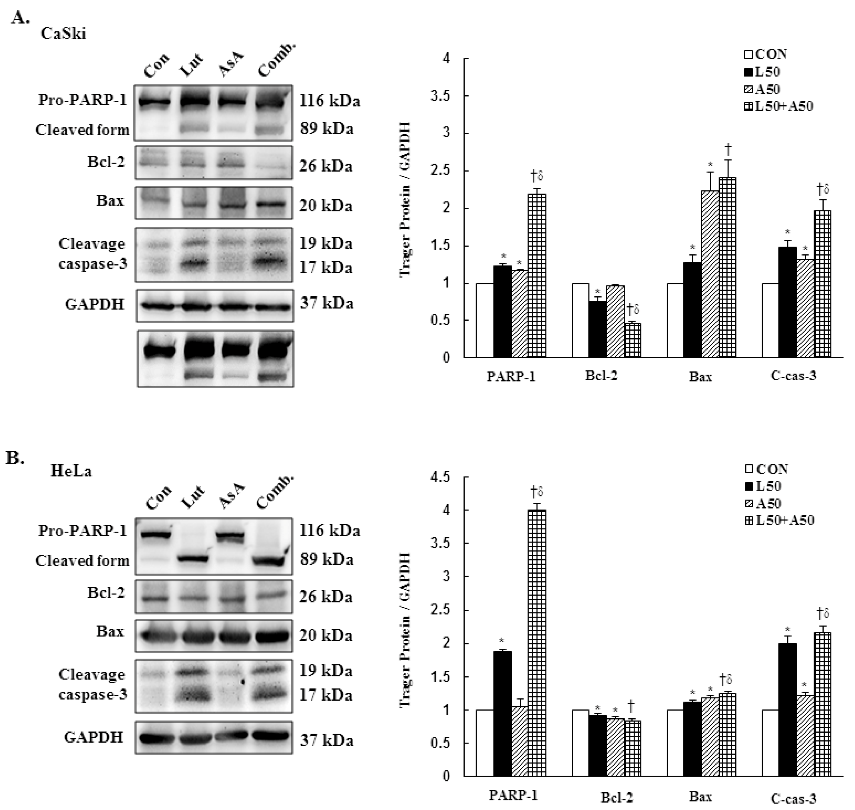Cancers 15 00548 g006 Cancers 15 00548 g006
