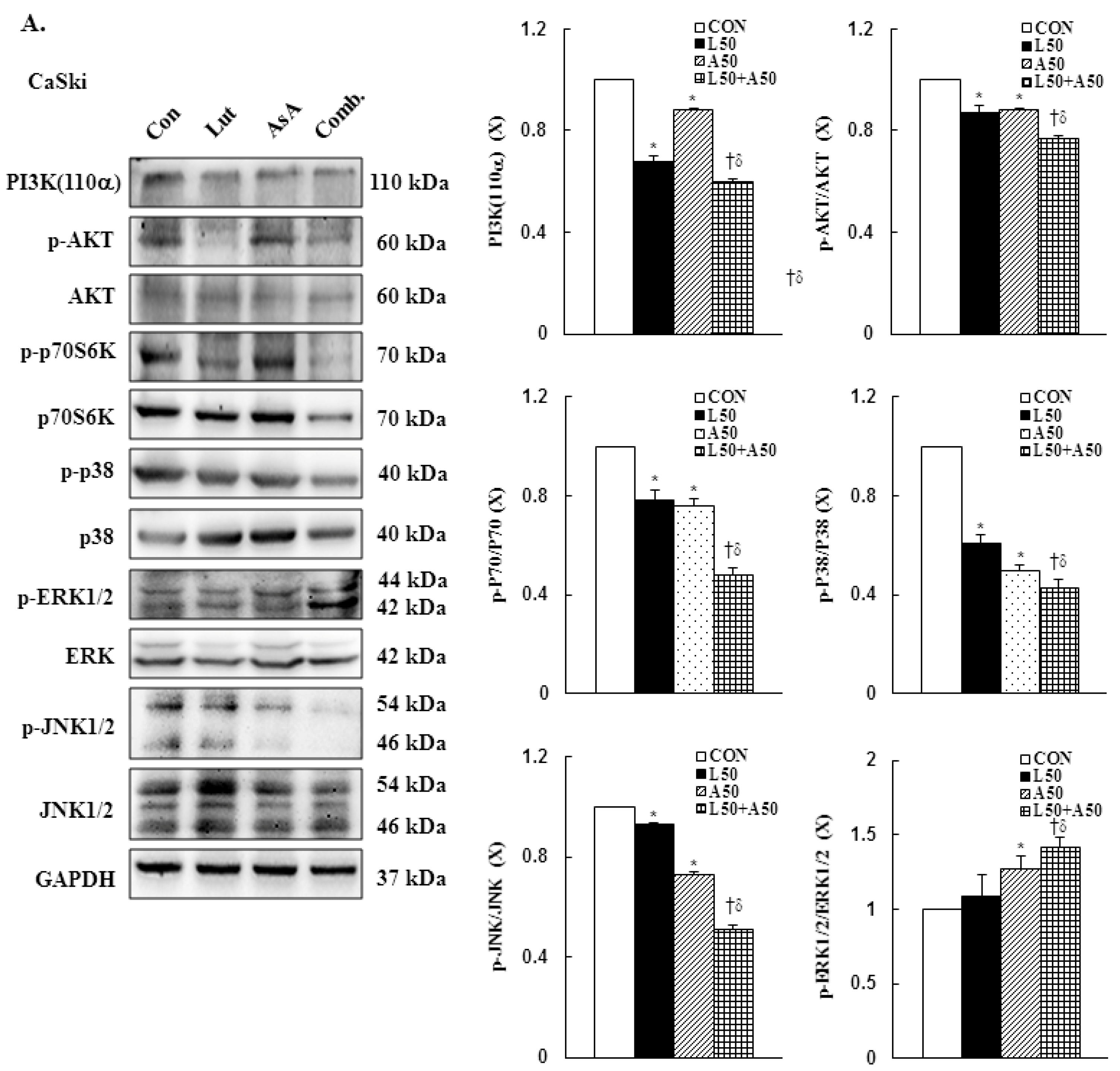 Cancers 15 00548 g007a Cancers 15 00548 g007a