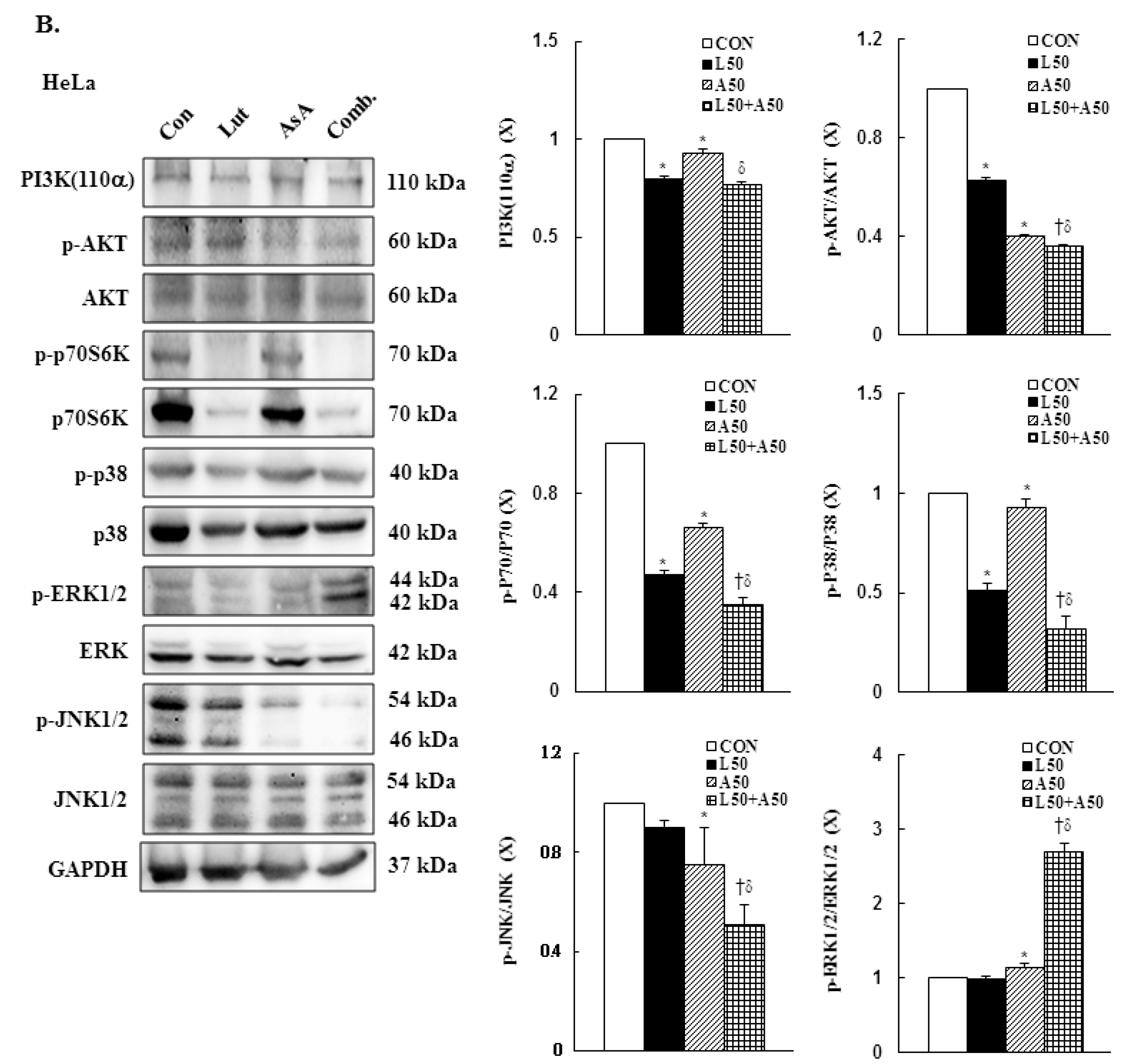 Cancers 15 00548 g007b Cancers 15 00548 g007b