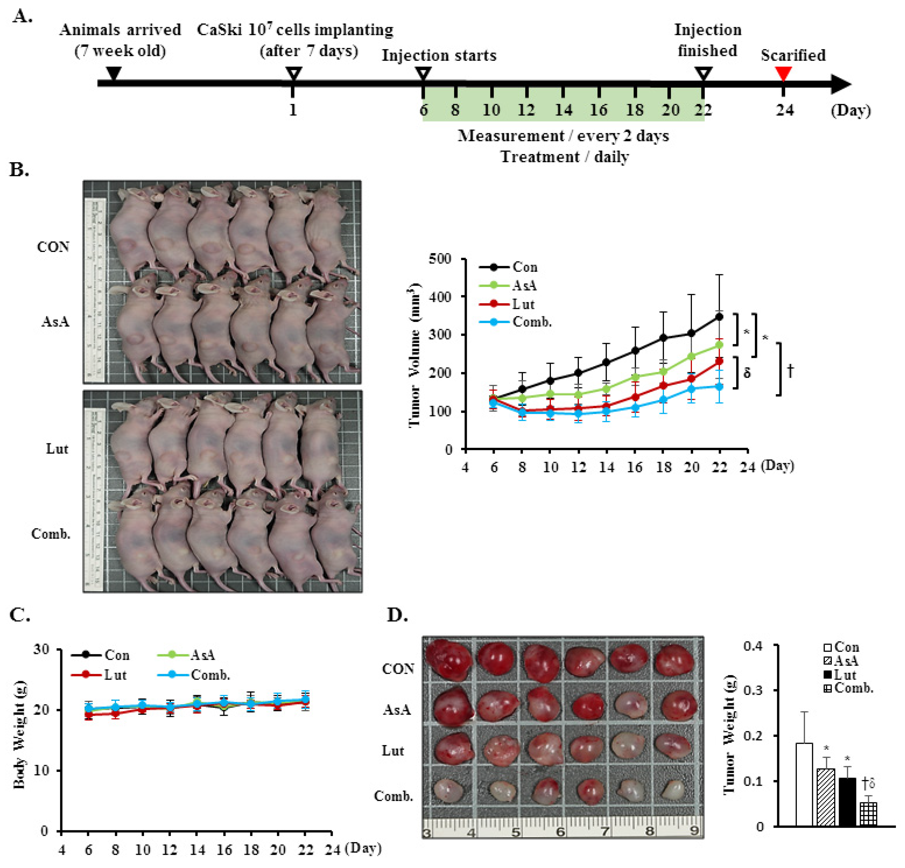 Cancers 15 00548 g009a Cancers 15 00548 g009a