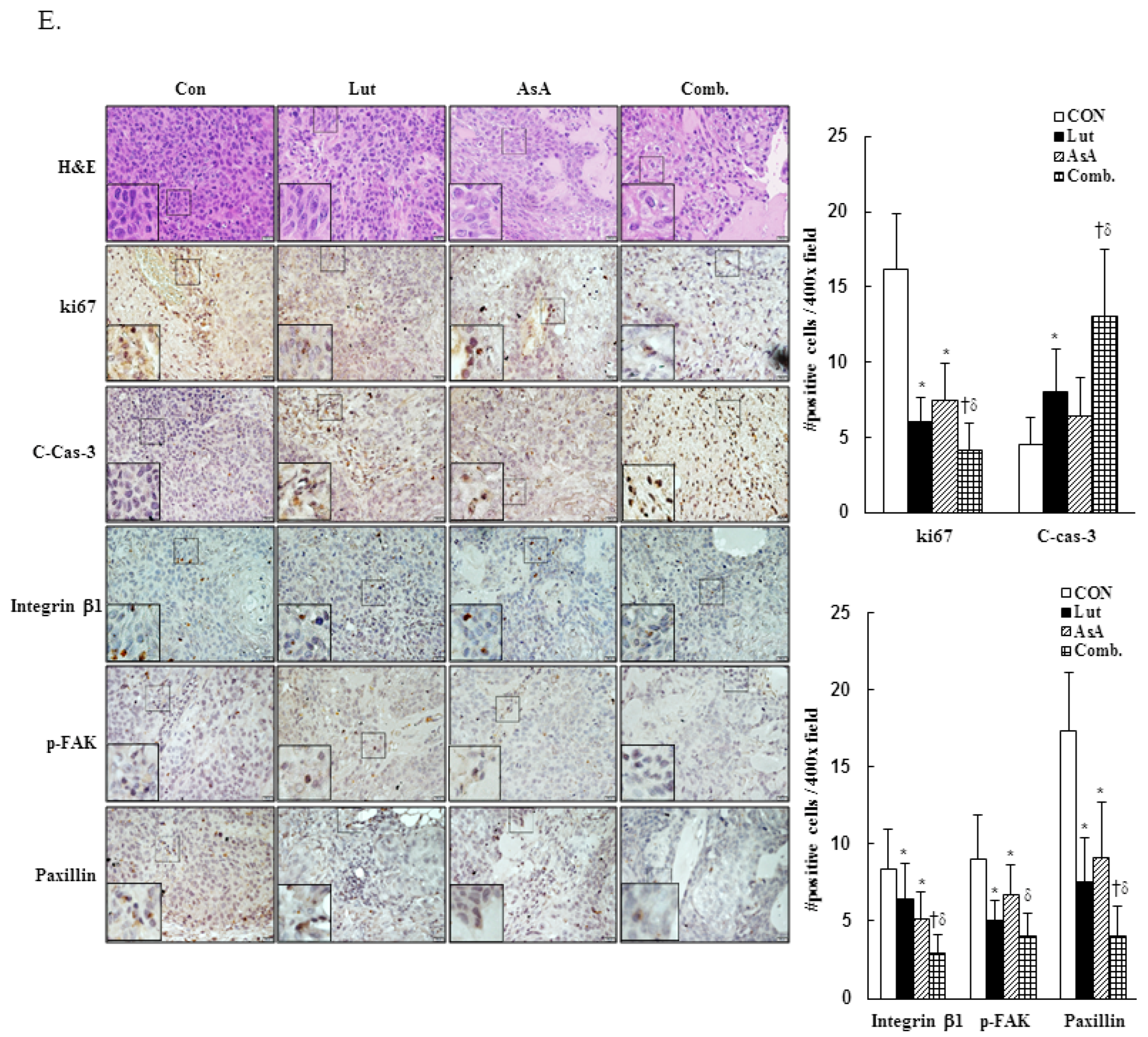 Cancers 15 00548 g009b Cancers 15 00548 g009b