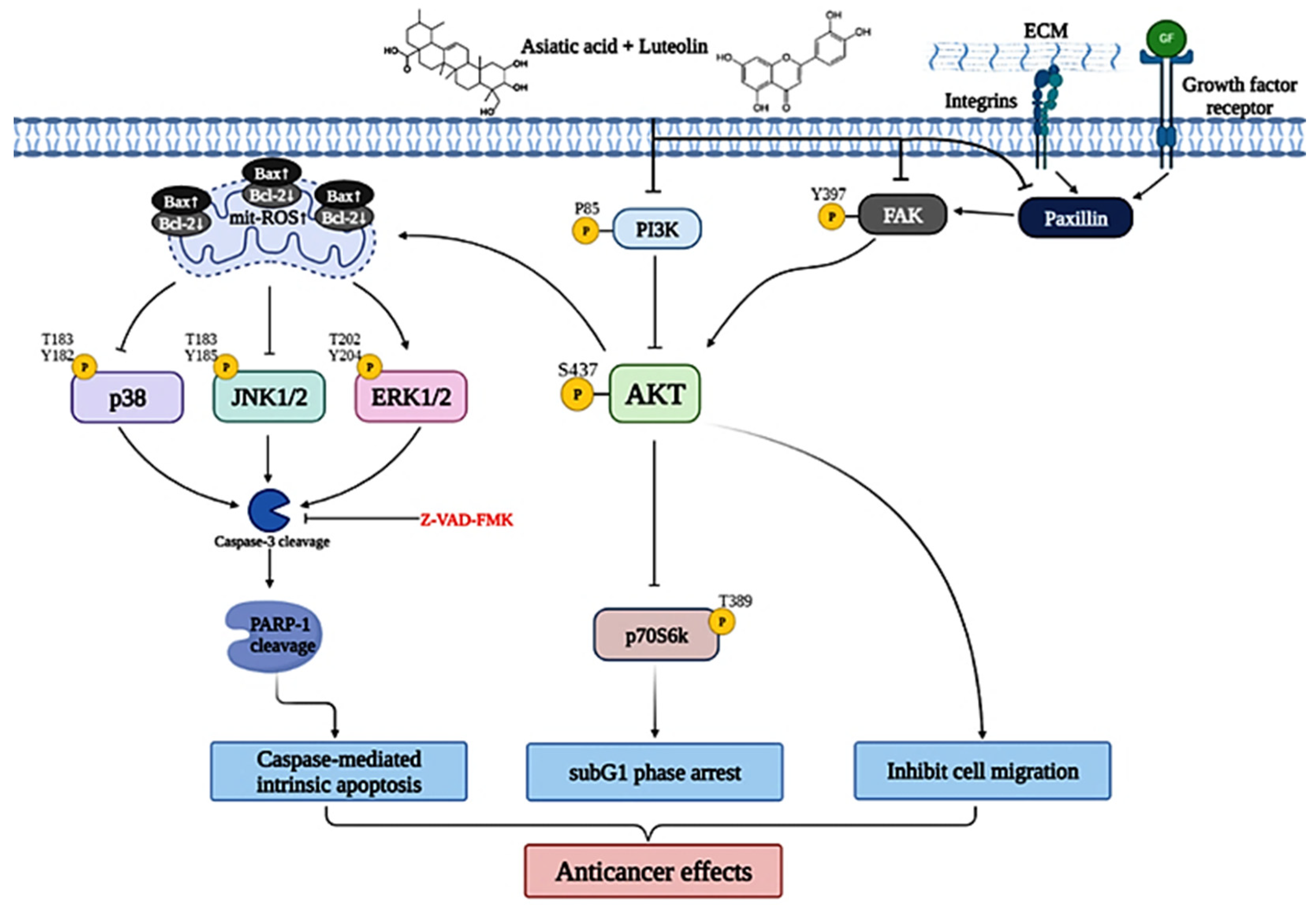 Cancers 15 00548 g010 Cancers 15 00548 g010