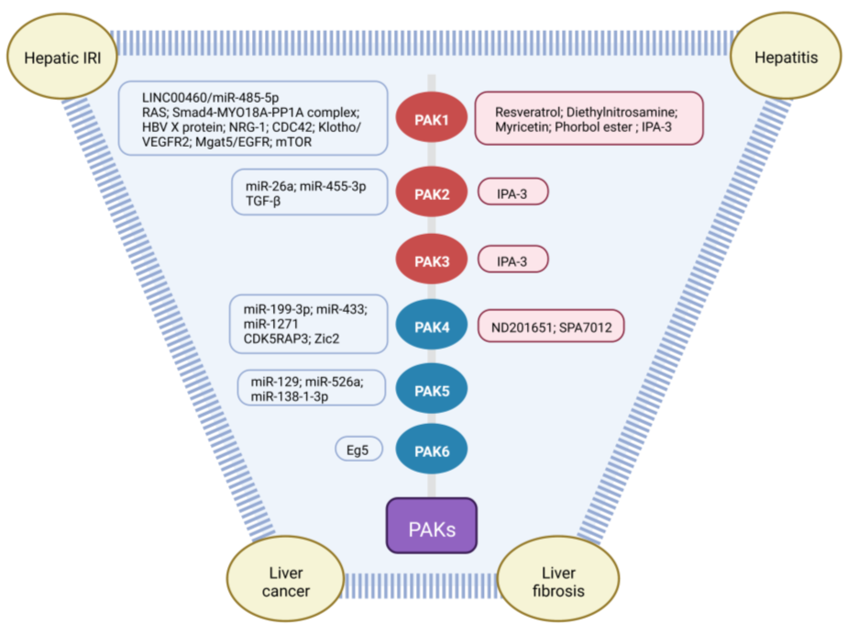 Cancers 15 00551 g001 Cancers 15 00551 g001