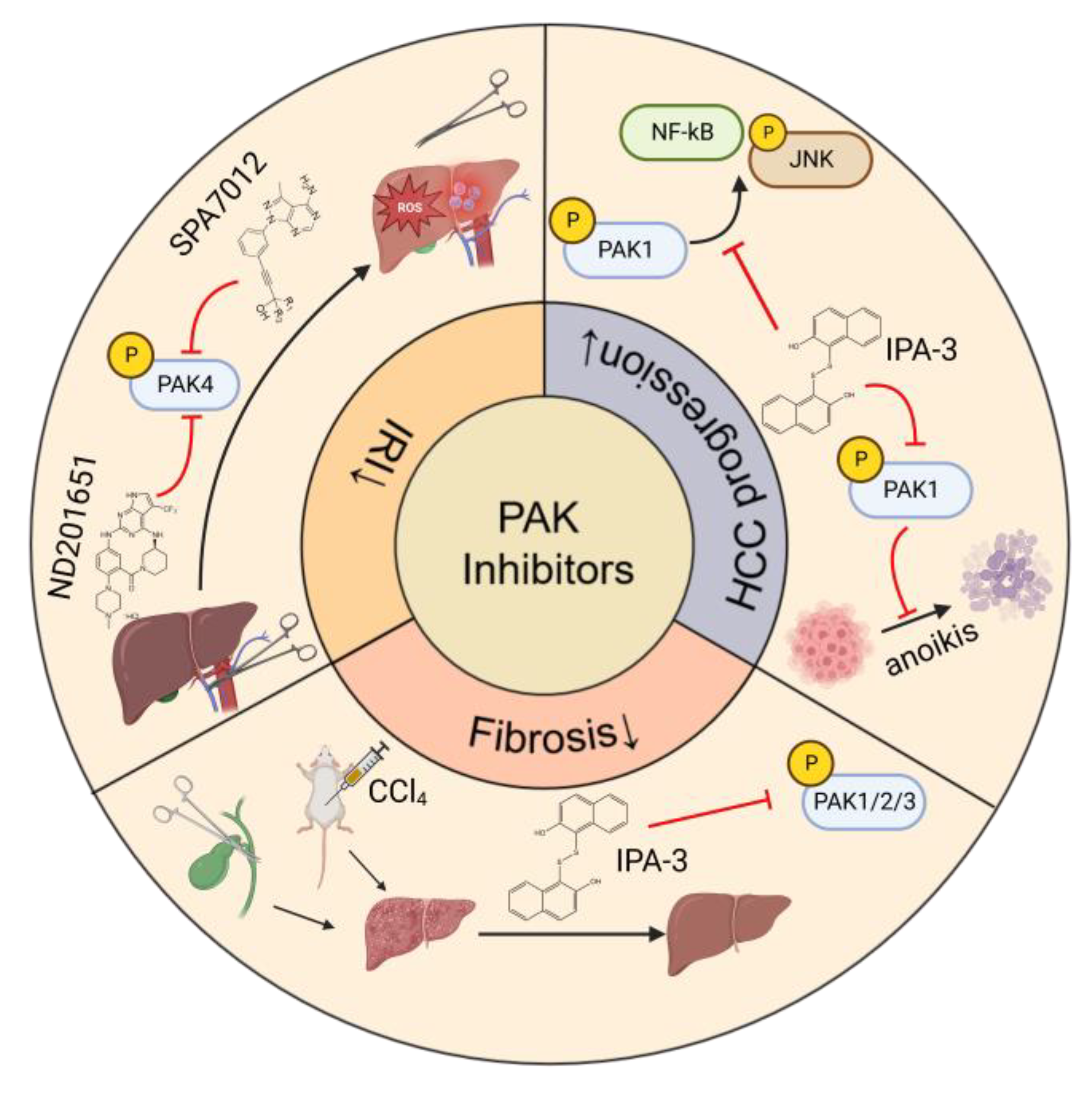 Cancers 15 00551 g004 Cancers 15 00551 g004