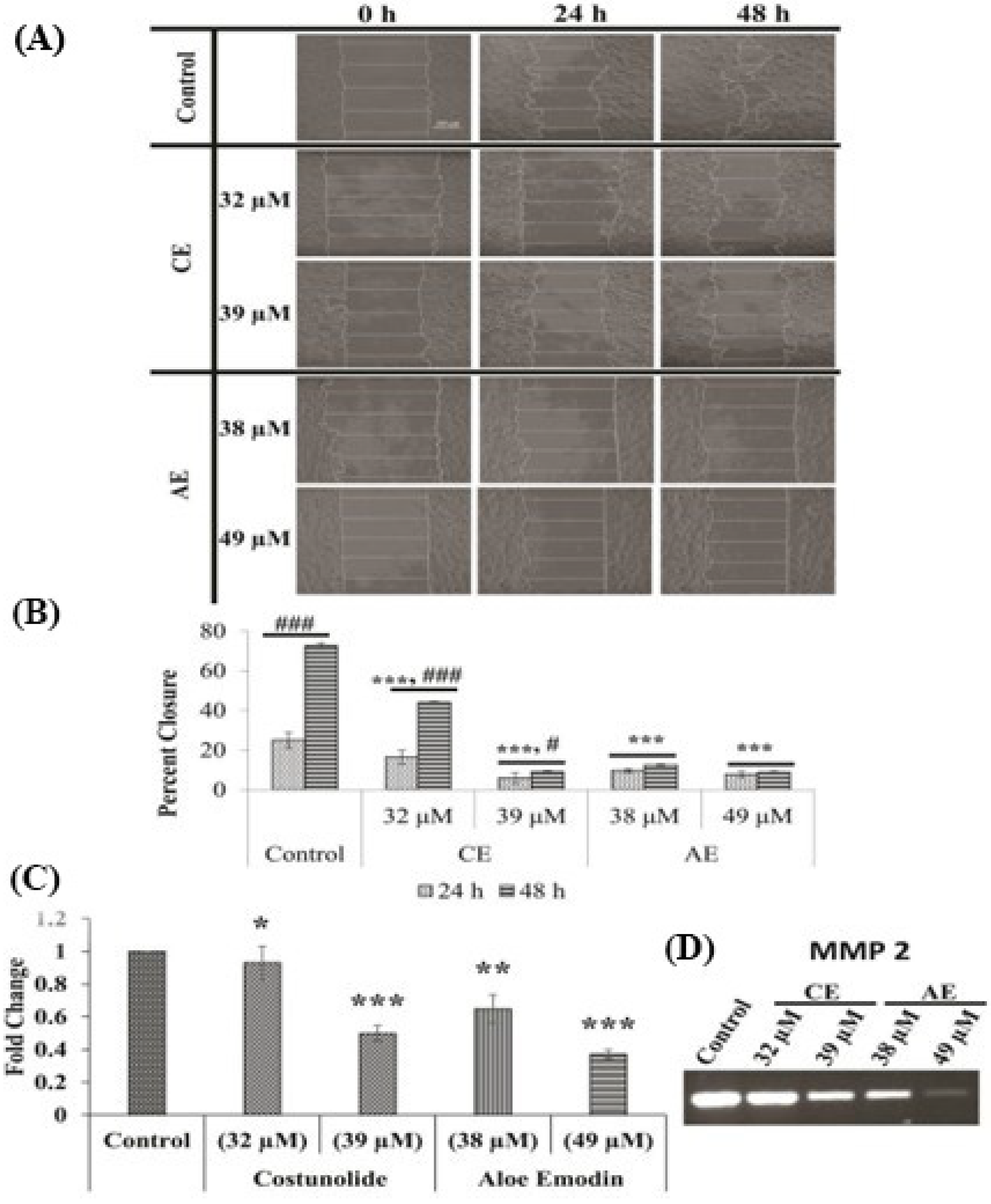 Cancers 15 00557 g009 Cancers 15 00557 g009