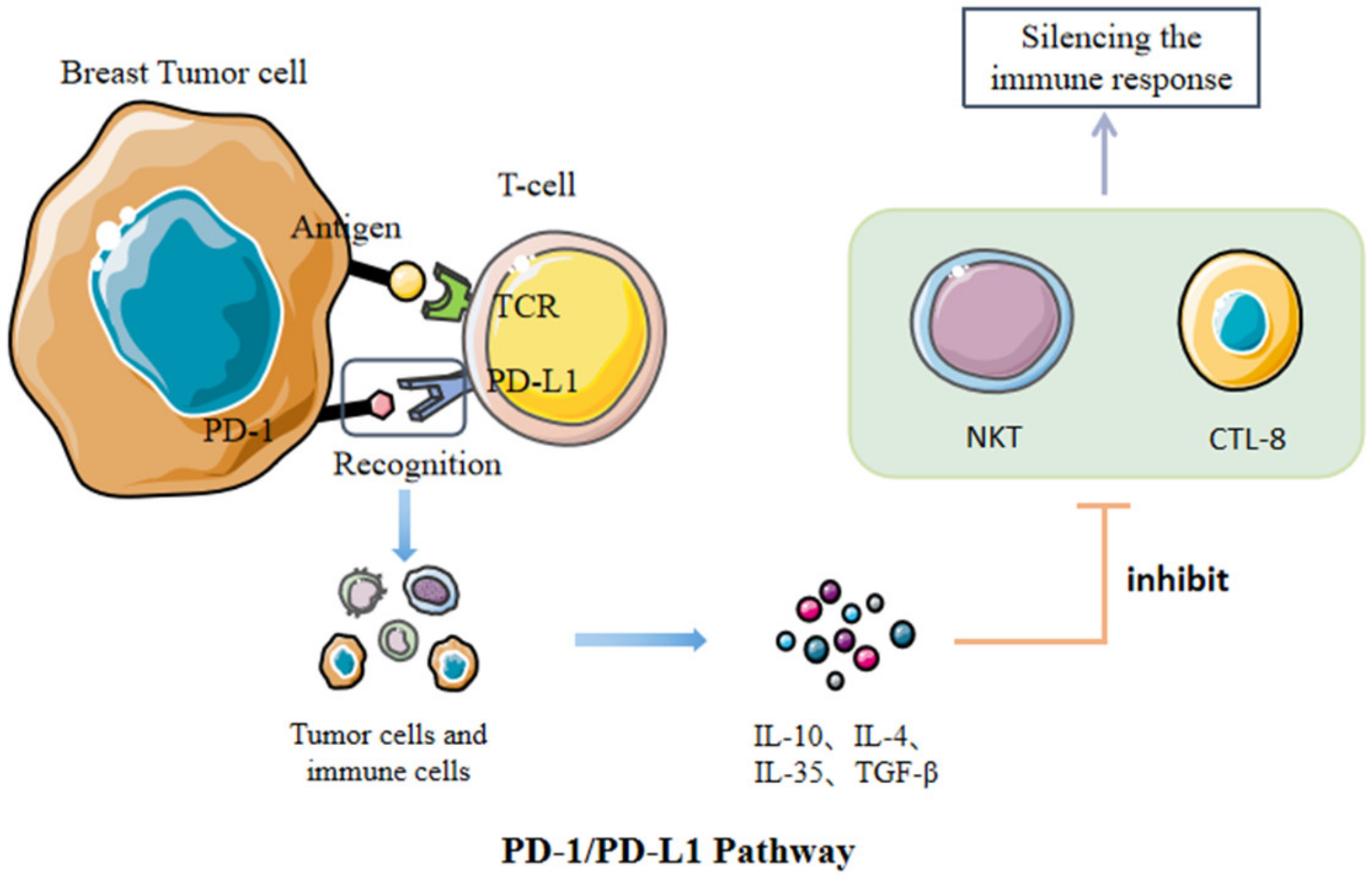 Cancers 15 00563 g001