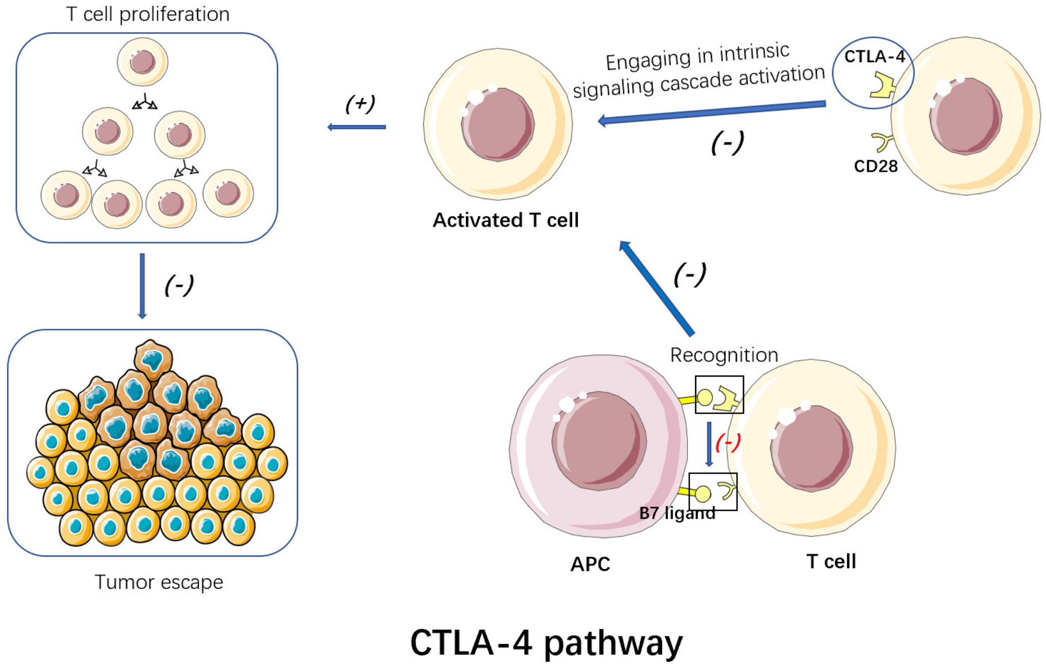 Cancers 15 00563 g002