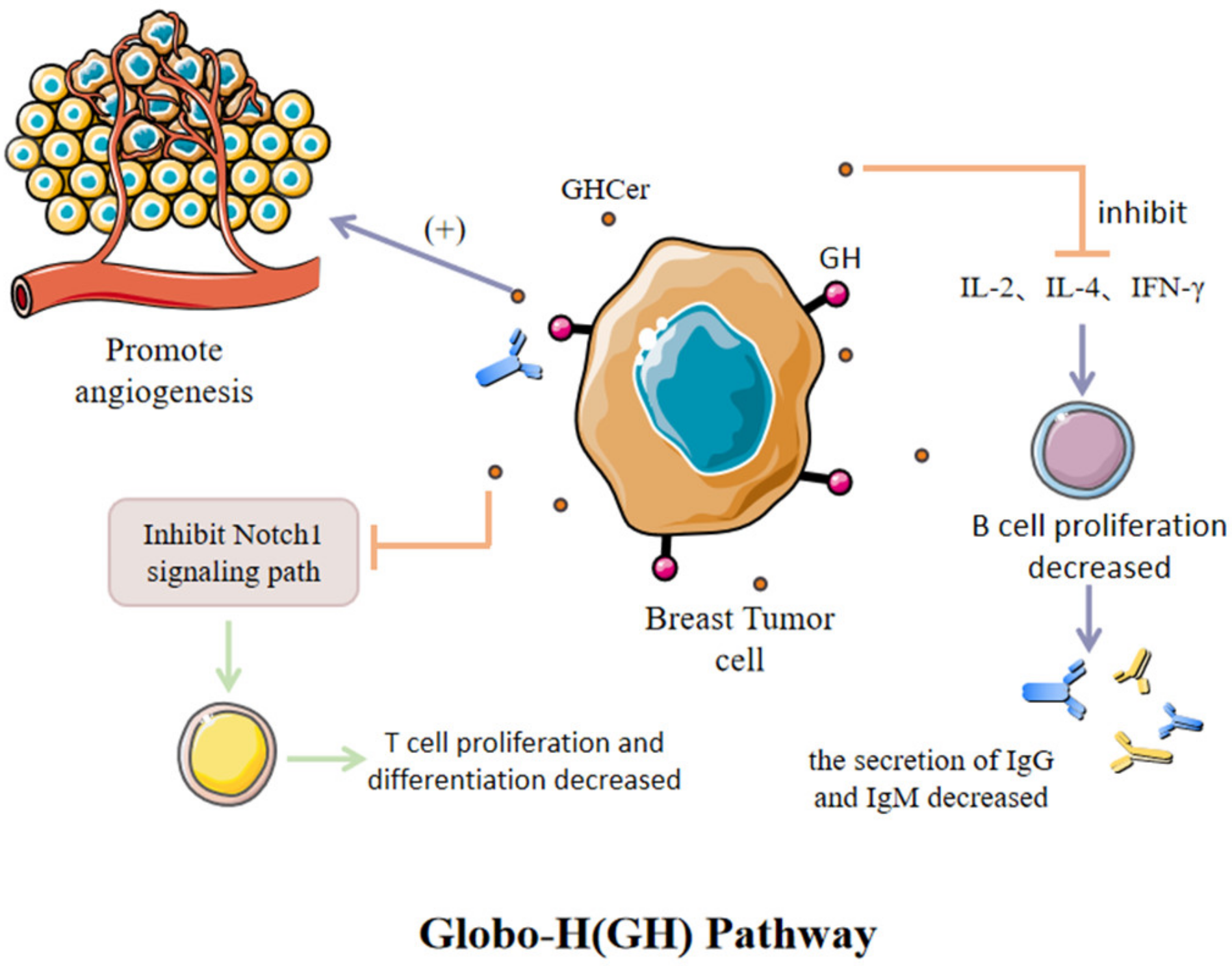 Cancers 15 00563 g003